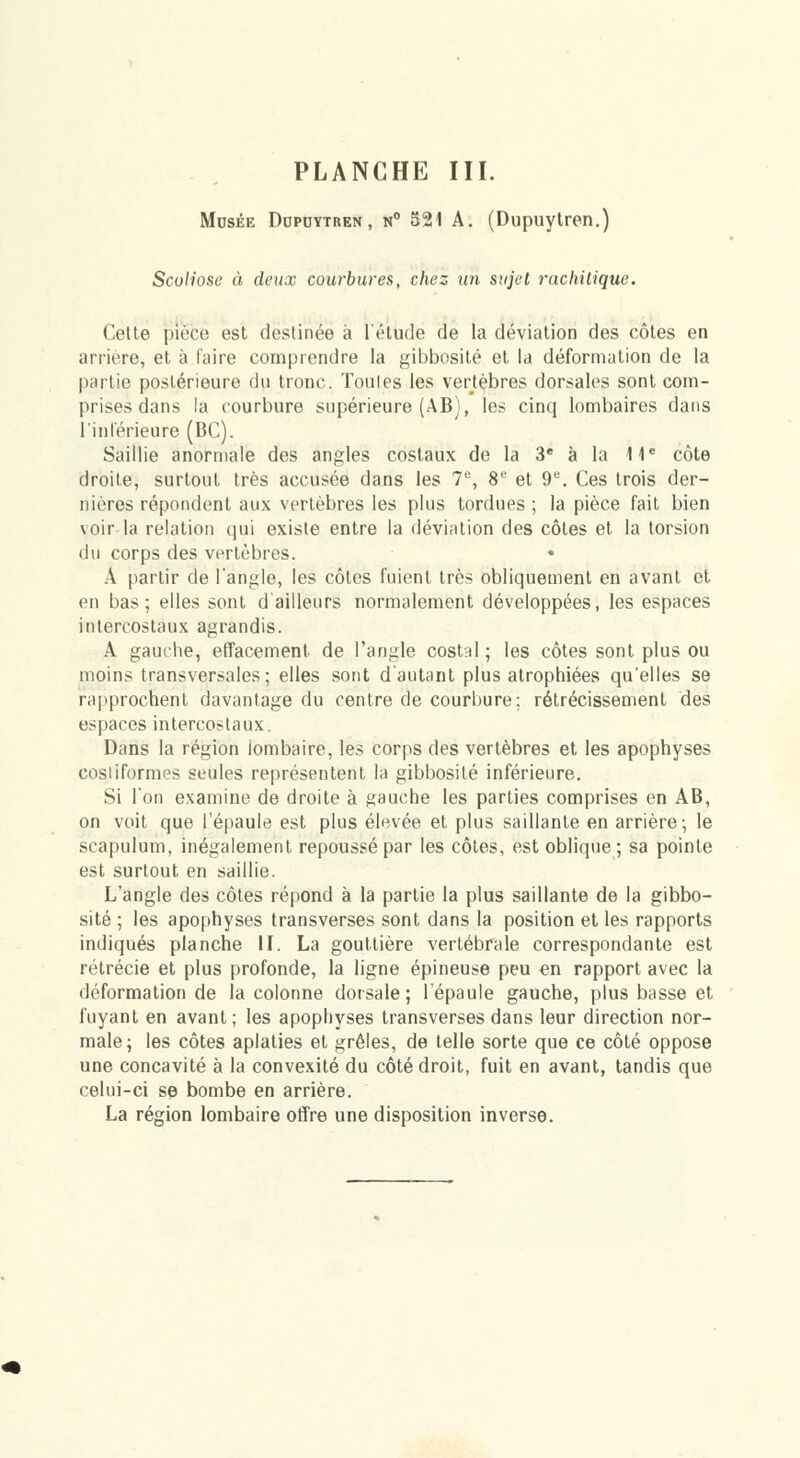 McsÉE DnPDYTREN, n 521 A. (Dupuytren.) Scoliose à deux courburea, chez un sujet racliitique. Celle pièce est destinée à l'étude de la déviation des côtes en arrière, et à faire comprendre la gibbosité et la déformation de la [lartie postérieure du tronc. Toutes les vertèbres dorsales sont com- prises dans la courbure supérieure (AB), les cinq lombaires dans l'inférieure (BC). Saillie anormale des angles costaux de la 3* à la 11* côte droite, surtout très accusée dans les 1^, 8^ et 9. Ces trois der- nières répondent aux vertèbres les plus tordues ; la pièce fait bien voir la relation qui existe entre la déviation des côtes et la torsion du corps des vertèbres. • A partir de l'angle, les côtes fuient très obliquement en avant et en bas; elles sont d'ailleurs normalement développées, les espaces intercostaux agrandis. A gaurhe, etîacement de l'angle costnl ; les côtes sont plus ou moins transversales; elles sont d'autant plus atrophiées qu'elles se rapprochent davantage du centre de courbure; rétrécissement des espaces intercostaux. Dans la région lombaire, les corps des vertèbres et les apophyses coslifornips seules représentent la gibbosilé inférieure. Si l'on examine de droite à gauche les parties comprises en AB, on voit que l'épaule est plus élevée et plus saillante en arrière; le scapulum, inégalement repoussé par les côtes, est oblique; sa pointe est surtout en saillie. L'angle des côtes répond à la partie la plus saillante de la gibbo- sité ; les apophyses transverses sont dans la position et les rapports indiqués planche II. La gouttière vertébrale correspondante est rétrécie et plus profonde, la ligne épineuse peu en rapport avec la déformation de la colonne dorsale; l'épaule gauche, plus basse et fuyant en avant; les apophyses transverses dans leur direction nor- male; les côtes aplaties et grêles, de telle sorte que ce côté oppose une concavité à la convexité du côté droit, fuit en avant, tandis que celui-ci se bombe en arrière. La région lombaire offre une disposition inverse.