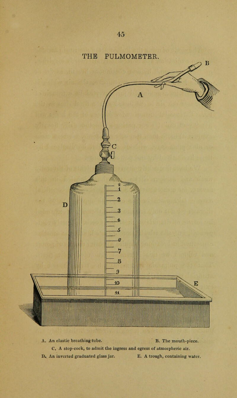 THE PULMOMETER. A. An elastic breathing tube- B. The mouth-piece. C. A stop-cock, to admit the ingress and egress of atmospheric air. D- An inverted graduated glass jar. E. A trough, containing water.