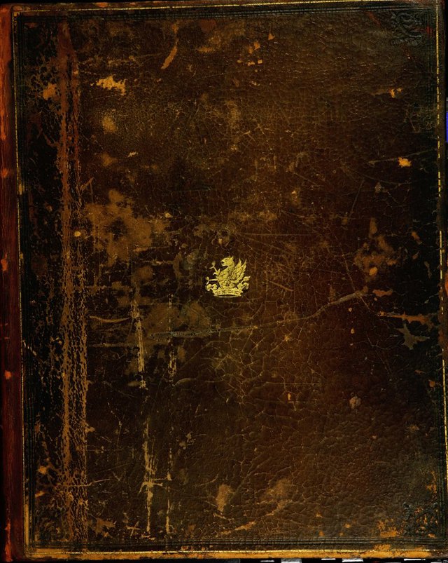 No text description is available for this image