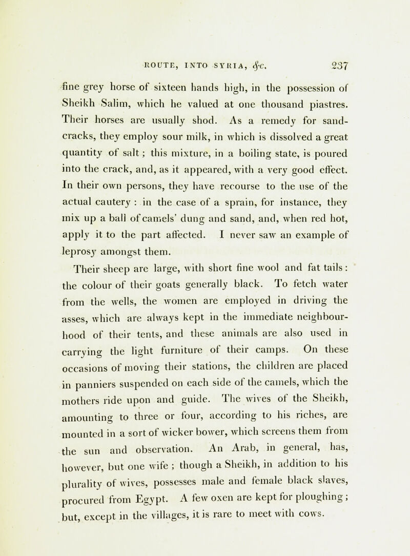 fine grey horse of sixteen hands high, in the possession of Sheikh Salim, which he valued at one thousand piastres. Their horses are usually shod. As a remedy for sand- cracks, they employ sour milk, in which is dissolved a great quantity of salt; this mixture, in a boiling state, is poured into the crack, and, as it appeared, with a very good effect. In their own persons, they have recourse to the use of the actual cautery : in the case of a sprain, for instance, they mix up a ball of camels' dung and sand, and, when red hot, apply it to the part affected. I never saw an example of lepros}' amongst them. Their sheep are large, with short fine wool and fat tails: the colour of their goats generally black. To fetch water from the wells, the women are employed in driving the asses, which are always kept in the immediate neighbour- hood of their tents, and these animals are also used in carrying the light furniture of their camps. On these occasions of moving their stations, the children are placed in panniers suspended on each side of the camels, which the mothers ride upon and guide. The wives of the Sheikh, amounting to three or four, according to his riches, are mounted in a sort of wicker bower, which screens them from the sun and observation. An Arab, in general, has, however, but one wife ; though a Sheikh, in addition to his plurality of wives, possesses male and female black slaves, procured from Egypt. A few oxen are kept for ploughing; but, except in the villages, it is rare to meet with cows.