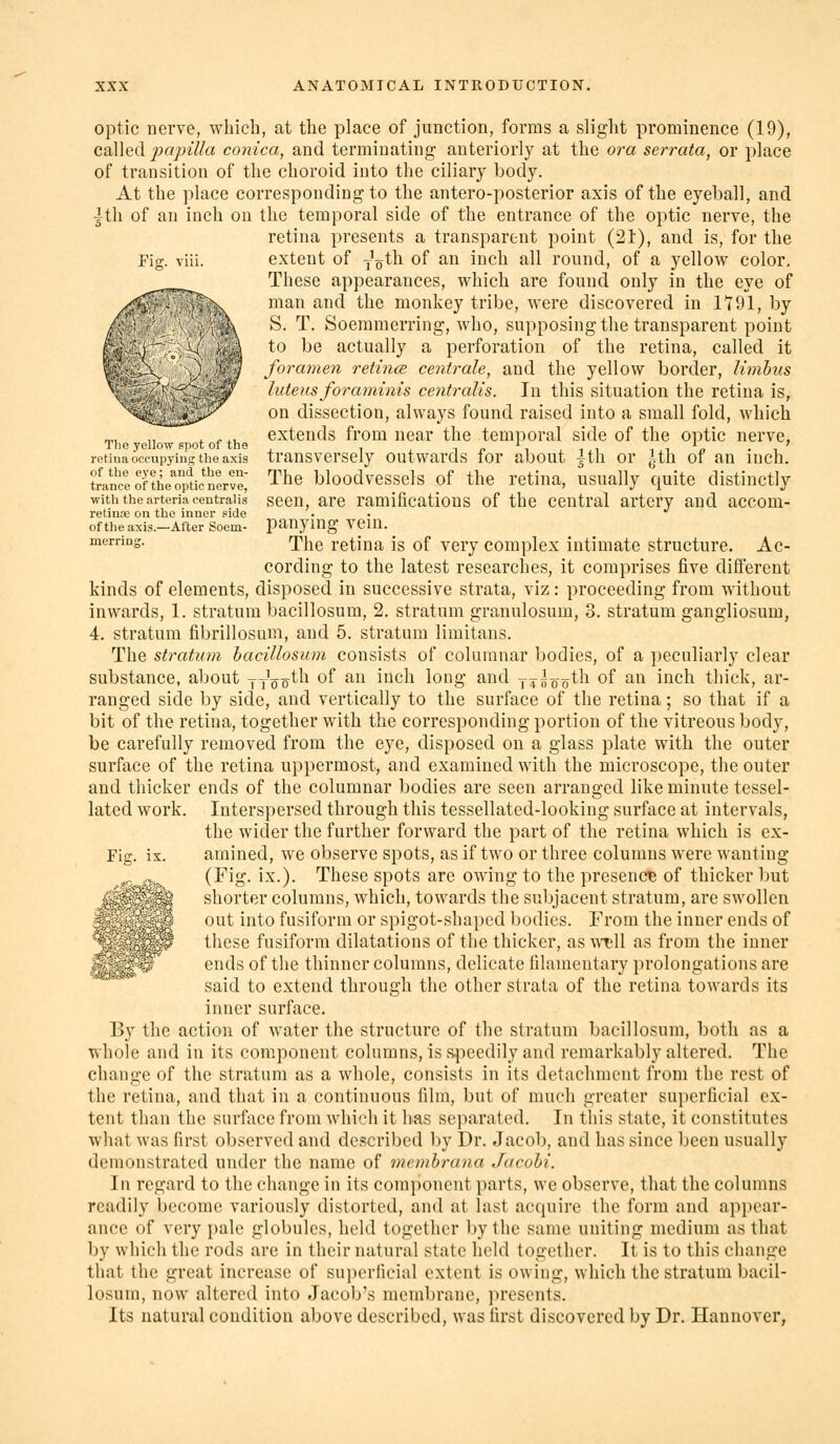 Fig. viii. The yellow spot of the retiua occupyini; the axis of the eye; and the en- trance of the optic nerve, with the arteria centralis retina on the inner side of the axis.—After Soem- merrinjr. optic nerve, which, at the place of junction, forms a slight prominence (19), caWed papilla conica, and terminating anteriorly at the ora serrata, or place of transition of the choroid into the ciliary body. At the place corresponding to the antero-posterior axis of the eyeball, and |th of an inch on the temporal side of the entrance of the optic nerve, the retina presents a transparent point (21), and is, for the extent of J^th of an inch all round, of a yellow color. These appearances, which are found only in the eye of man and the monkey tribe, were discovered in 1191, by S. T. Soemmerring, who, supposing the transparent point to be actually a perforation of the retina, called it foramen retime centrale, and the yellow border, limhvs luteus foraminis centralis. In this situation the retina is, on dissection, always found raised into a small fold, which extends from near the temporal side of the optic nerve, transversely outwards for about |th or ^th of an inch. The bloodvessels of the retina, usually quite distinctly seen, are ramifications of the central artery and accom- panying vein. The retina is of very complex intimate structure. Ac- cording to the latest researches, it comprises five different kinds of elements, disposed in successive strata, viz: proceeding from without inwards, 1. stratum bacillosum, 2. stratum granulosum, 3. stratum gangliosum, 4. stratum fibrillosuni, and 5. stratum limitans. The stratum haciUosum consists of columnar bodies, of a peculiarly clear substance, about jJ^o^th of an inch long and j^loo^^^ of an inch thick, ar- ranged side by side, and vertically to the surface of the retina; so that if a bit of the retina, together with the corresponding portion of the vitreous body, be carefully removed from the eye, disposed on a glass plate with the outer surface of the retina uppermost, and examined with the microscope, the outer and thicker ends of the columnar bodies are seen arranged like minute tessel- lated work. Interspersed through this tessellated-looking surface at intervals, the wider the further forward the part of the retina which is ex- amined, we observe spots, as if two or three columns were wanting (Fig. ix.). These spots are owing to the presence of thicker but shorter columns, which, towards the subjacent stratum, are swollen out into fusiform or spigot-shaped bodies. From the inner ends of these fusiform dilatations of the thicker, as w^ll as from the inner ends of the thinner columns, delicate filamentary prolongations are said to extend through the other strata of the retina towards its inner surface. By the action of water the structure of the stratum bacillosum, botli as a whole and in its component columns, is s^ieedily and remarkably altered. The change of the stratum as a whole, consists in its detachment from the rest of the retina, and that in a continuous film, but of much greater superficial ex- tent than the surface from which it Ims separated. In this state, it constitutes what was first observed and described by Dr. Jacol:), and has since been usually demonstrated under the name of mcmhrana Jacohi. In regard to the change in its component parts, we observe, that the columns readily become variously distorted, and at last acquire the form and appear- ance of very pale globules, held together by the same uniting medium as that by which the rods are in their natural state held together. It is to this change that the great increase of superficial extent is owing, which the stratum bacil- losum, now altered into Jacob's membrane, presents. Its natural condition above described, was first discovered by Dr. Hannover, Fie;, ix.