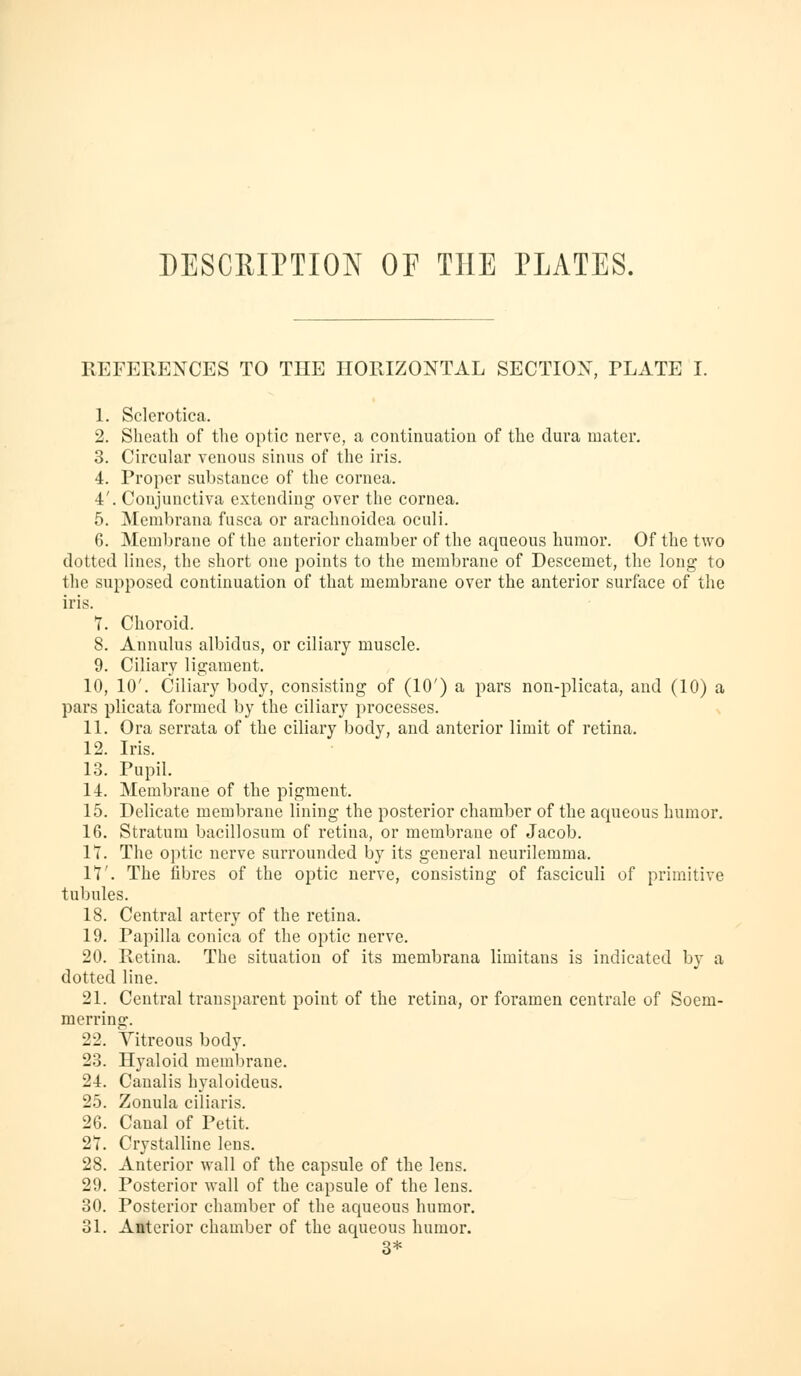 DESCMPTION or THE PLATES. REFERENCES TO THE HORIZONTAL SECTION, PLATE I. L Sclerotica. 2. Shoath of the optic nerve, a continuation of the dura mater. 3. Circular venous sinus of the iris. 4. Proper substance of the cornea. 4'. Conjunctiva extending over the cornea. 5. Membrana fusca or arachnoidea oculi. 6. Membrane of the anterior chamber of the aqueous humor. Of the two dotted lines, the short one points to the membrane of Descemet, the long to the supposed continuation of that membrane over the anterior surface of the iris. 1. Choroid. 8. Annulus albidus, or ciliary muscle. 9. Ciliary ligament. 10. 10'. Ciliai'y body, consisting of (10') a pars non-plicata, and (10) a pars plicata formed by the ciliary processes. 11. Ora serrata of the ciliary body, and anterior limit of retina. 12. Iris. 13. Pupil. 14. Membrane of the pigment. 15. Delicate membrane lining the posterior chamber of the aqueous humor. 16. Stratum bacillosum of retina, or membrane of Jacob. 17. The ojitic nerve surrounded by its general neurilemma. 17'. The fibres of the optic nerve, consisting of fasciculi of primitive tubules. 18. Central artery of the retina. 19. Papilla conica of the optic nerve. 20. Retina. The situation of its membrana limitans is indicated by a dotted line. 21. Central transparent point of the retina, or foramen centrale of Soem- merring. 22. Yitreous body. 23. Hyaloid meml^rane. 24. Canalis hyaloideus. 25. Zonula ciliaris. 26. Canal of Petit. 27. Crystalline lens. 28. Anterior wall of the capsule of the lens. 29. Posterior wall of the capsule of the lens. 30. Posterior chamber of the aqueous humor. 31. Anterior chamber of the aqueous humor. 3*