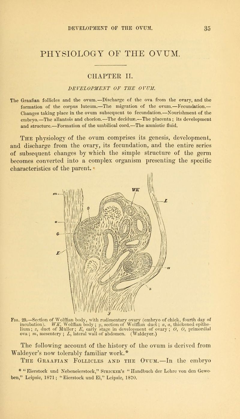 PHYSIOLOGY OF THE OVUM, CHAPTER II. DEVELOPMENT OF THE OVUM. The Graafian follicles and the ovum.—Discharge of the ova from the ovary, and the formation of the corpus luteum.—The migration of the ovum.—Fecundation.— Changes taking place in the ovum subsequent to fecundation.—Nourishment of the embryo.—The allantois and chorion.—The deciduae.—The placenta; its development and structure.—Formation of the umbilical cord.—The amniotic fluid. The physiology of the ovum comprises its genesis, development, and discharge from the ovary, its fecundation, and the entire series of subsequent changes by which the simple structure of the germ becomes converted into a complex organism presenting the specific characteristics of the parent. • -WMlhi WK Wi^lMM CM \ Fig. 29.—Section of Wolffian body, with rudimentary ovarv (embryo of chick, fourth day of incubation). WK. Wolffian body ; y, section of Wolffian duct; a, a, thickened epithe- lium ; 2, duct of Muller; E, early stage in development of ovary ; 0, 0, primordial ova ; m, mesentery ; Z, lateral wall of abdomen. (Waldeyer.) The following account of the history of the ovum is derived from Waldeyer's now tolerably familiar work.* The Graafian Follicles and the Ovum.—In the embryo *  Eierstock und Nebeneicrstock, Stricker's  Handbuch der Lehre von den Gewe- ben, Leipsic, 18*71; Eierstock und Ei, Lcipsic, 1870.