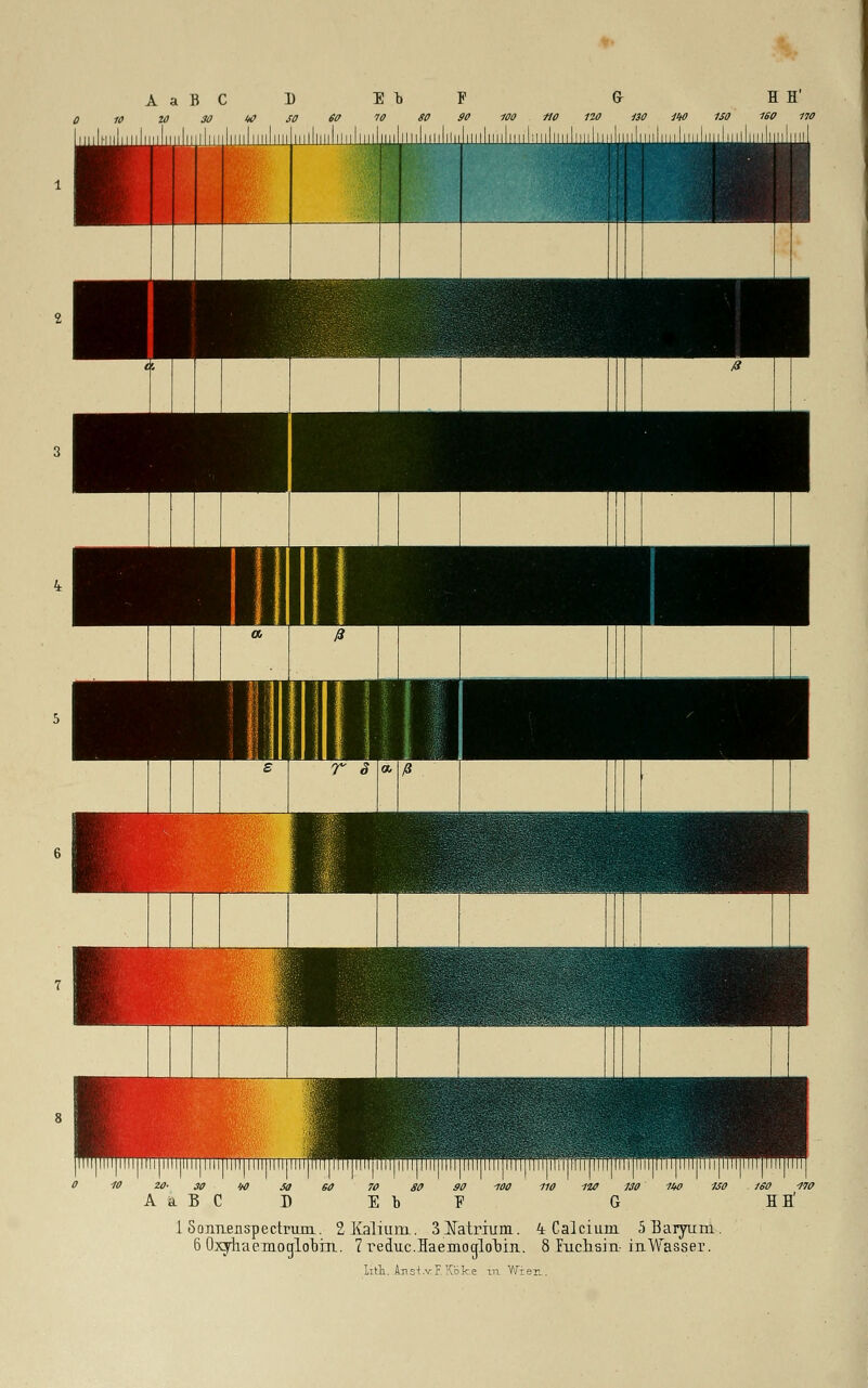 1 Sonnenspectrum. 2 Kalium. 3Natrium. 4 Calcium. 5 BaTyum 6 Oxyhaemoglobni. 7 reduc.Haemogloobi. 8 Euch sin-inWasser. litt. Ajis't.vF. Koke in Wfer..