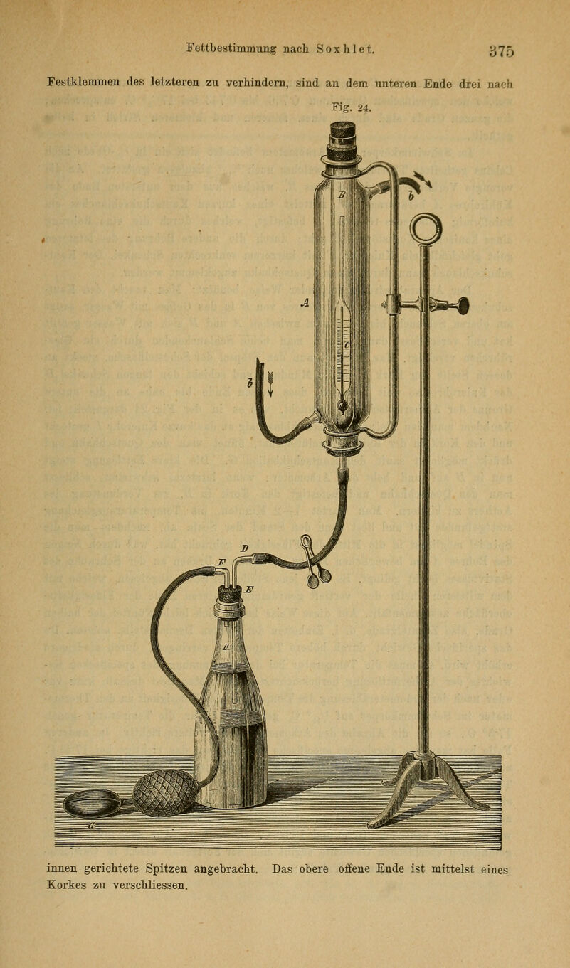 Festklemmen des letzteren zu verhindern, sind an dem unteren Ende drei nach Fig. 24. innen gerichtete Spitzen angebracht. Das obere offene Ende ist mittelst eines Korkes zu verschliessen.