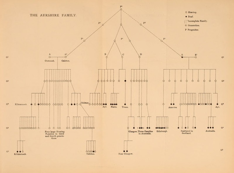 THE AYRSHIRE FAM • Deaf. f Incomplete Family G Generation. P Progenitor. 666666666 6 Q QOQOOQQOOQQ OOOOQ 66066 Four large Hearing Families in third and fourth genera- 66 66666