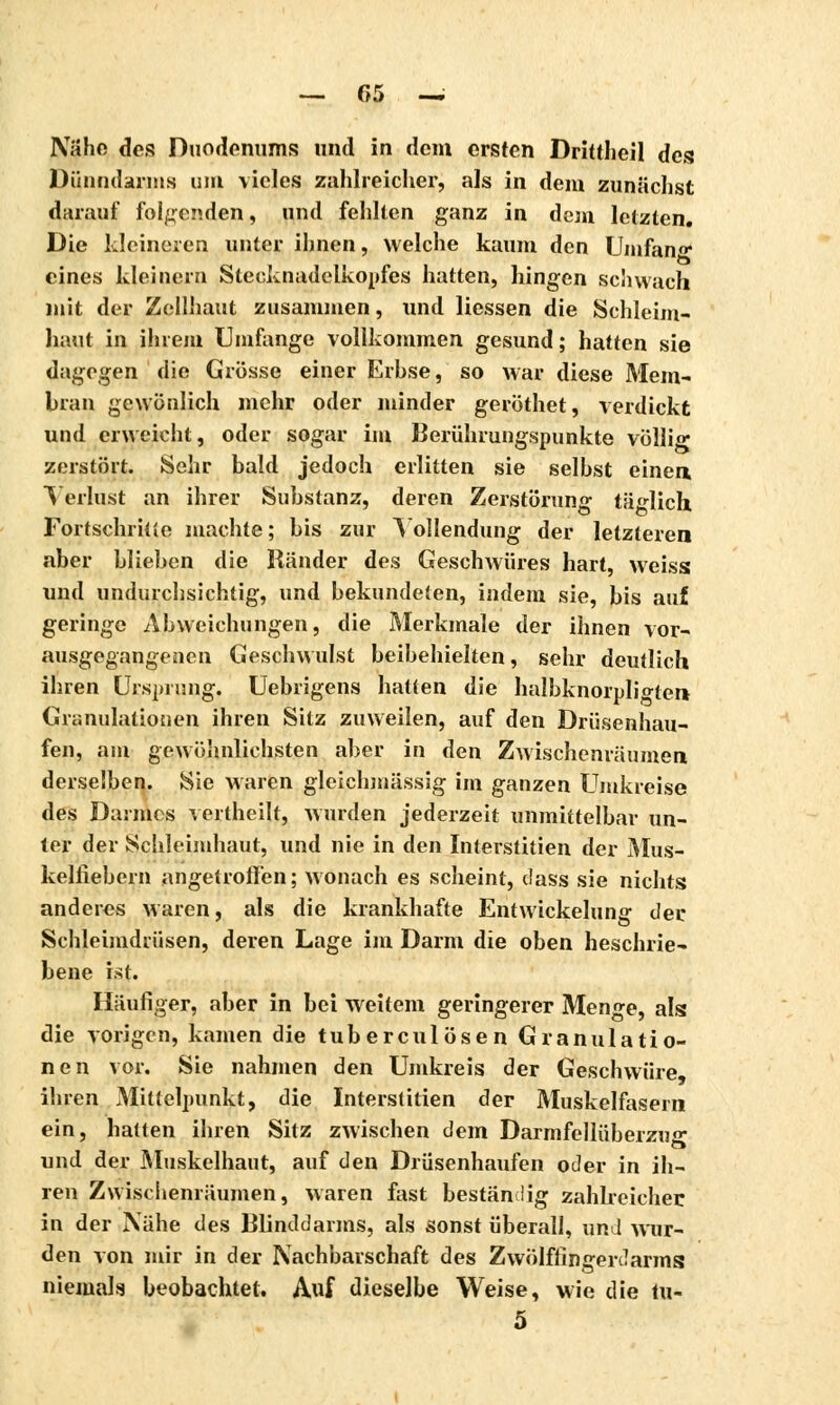 Nähe des Duodenums und in dem ersten Drittheil des Dünndarms um vieles zahlreicher, als in dem zunächst darauf folgenden, und fehlten ganz in dem letzten. Die kleineren unter ihnen, welche kaum den Umfan«* eines kleinern Stecknadelkopfes hatten, hingen schwach mit der Zellhaut zusammen, und Hessen die Schleim- haut in ihrem Umfange vollkommen gesund ; hatten sie dagegen die Grösse einer Erbse, so war diese Mem- bran gewönlich mehr oder minder geröthet, verdickt und erweicht, oder sogar im Berührungspunkte völlig zerstört. Sehr bald jedoch erlitten sie selbst einen Verlust an ihrer Substanz, deren Zerstörung täglich Fortschritte machte; bis zur Vollendung der letzteren aber blieben die Ränder des Geschwüres hart, weiss; und undurchsichtig, und bekundeten, indem sie, bis auf geringe Abweichungen, die Merkmale der ihnen vor- ausgegangenen Geschwulst beibehielten, sehr deutlich ihren Ursprung. Uebrigens hatten die halbknorplio-ten- Granulationen ihren Sitz zuweilen, auf den Drüsenhau- fen, am gewöhnlichsten aber in den Zwischenräumen derselben. Sie waren gleichmässig im ganzen Umkreise des Darmes vertheilt, wurden jederzeit unmittelbar un- ter der Schleimhaut, und nie in den Interstitiell der Mus- kelfiebern angetroffen; wonach es scheint, dass sie nichts anderes waren, als die krankhafte Entwickelung der Schleimdrüsen, deren Lage im Darm die oben beschrie- bene ist. Häufiger, aber in bei weitem geringerer Meno-e, als die vorigen, kamen die tu bereu lösen Granulatio- nen vor. Sie nahmen den Umkreis der Geschwüre ihren Mittelpunkt, die Interstiden der Muskelfasern ein, hatten ihren Sitz zwischen dem Darmfellüberzu und der Muskelhaut, auf den Drüsenhaufen oder in ih- ren Zwischenräumen, waren fast beständig zahlreicher in der Nähe des Blinddarms, als sonst überall, und wur- den von mir in der Nachbarschaft des Zwölffingerdarms niemals beobachtet. Auf dieselbe Weise, wie die tu« 5