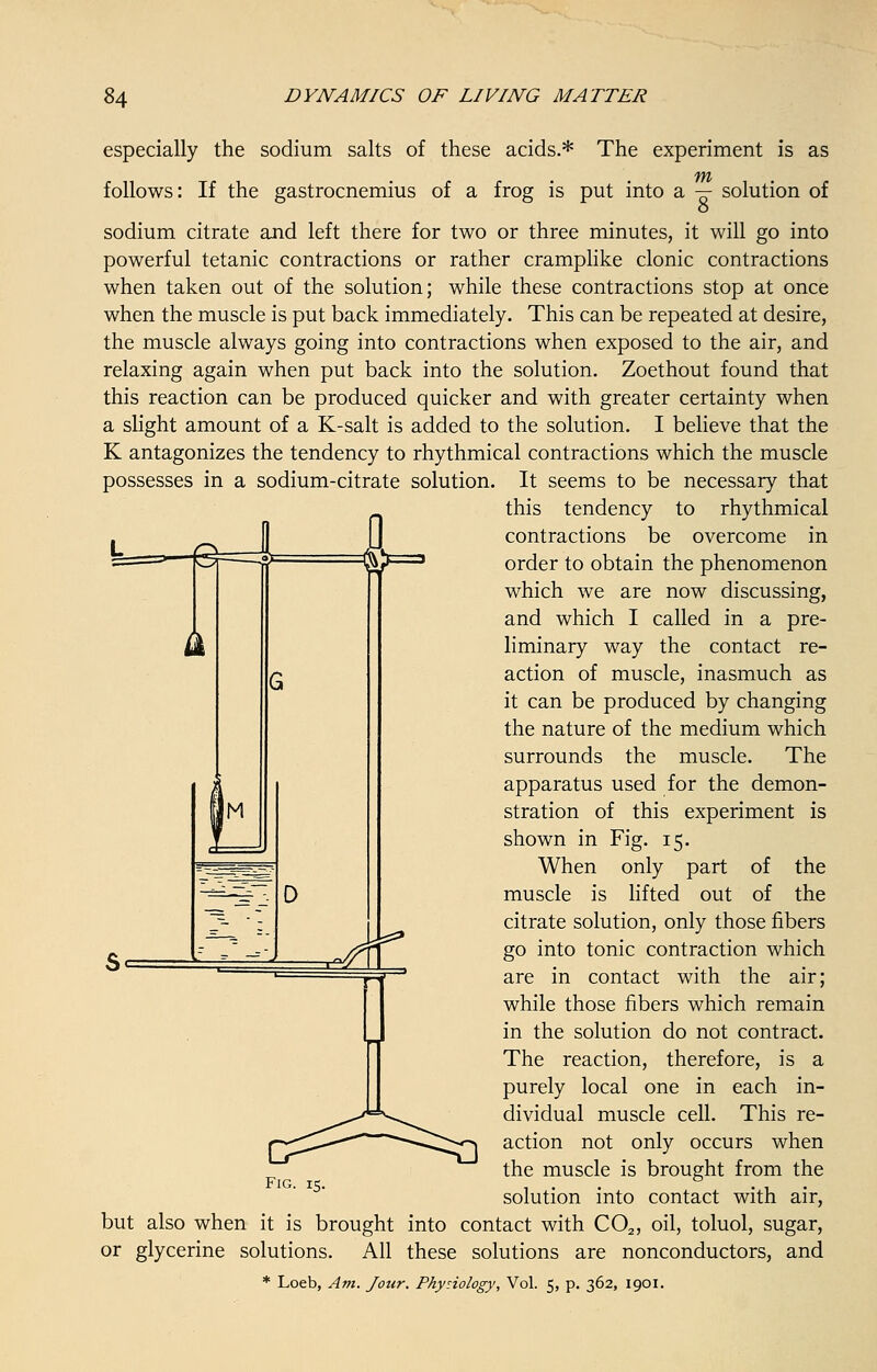 especially the sodium salts of these acids.* The experiment is as /VYt follows: If the gastrocnemius of a frog is put into a — solution of o sodium citrate and left there for two or three minutes, it will go into powerful tetanic contractions or rather cramplike clonic contractions when taken out of the solution; while these contractions stop at once when the muscle is put back immediately. This can be repeated at desire, the muscle always going into contractions when exposed to the air, and relaxing again when put back into the solution. Zoethout found that this reaction can be produced quicker and with greater certainty when a slight amount of a K-salt is added to the solution. I believe that the K antagonizes the tendency to rhythmical contractions which the muscle possesses in a sodium-citrate solution. It seems to be necessary that this tendency to rhythmical contractions be overcome in order to obtain the phenomenon which we are now discussing, and which I called in a pre- liminary way the contact re- action of muscle, inasmuch as it can be produced by changing the nature of the medium which surrounds the muscle. The apparatus used for the demon- stration of this experiment is shown in Fig. 15. When only part of the muscle is lifted out of the citrate solution, only those fibers go into tonic contraction which are in contact with the air; while those fibers which remain in the solution do not contract. The reaction, therefore, is a purely local one in each in- dividual muscle cell. This re- action not only occurs when the muscle is brought from the solution into contact with air, but also when it is brought into contact with C02, oil, toluol, sugar, or glycerine solutions. All these solutions are nonconductors, and Fig. 15.