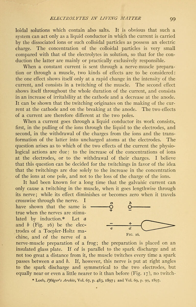 loidal solutions which contain also salts. It is obvious that such a system can act only as a liquid conductor in which the current is carried by the dissociated ions or such colloidal particles as possess an electric charge. The concentration of the colloidal particles is very small compared with that of the electrolytes in solution, so that for the con- duction the latter are mainly or practically exclusively responsible. When a constant current is sent through a nerve-muscle prepara- tion or through a muscle, two kinds of effects are to be considered: the one effect shows itself only at a rapid change in the intensity of the current, and consists in a twitching of the muscle. The second effect shows itself throughout the whole duration of the current, and consists in an increase of irritability at the cathode and a decrease at the anode. It can be shown that the twitching originates on the making of the cur- rent at the cathode and on the breaking at the anode. The two effects of a current are therefore different at the two poles. When a current goes through a liquid conductor its work consists, first, in the pulling of the ions through the liquid to the electrodes, and second, in the withdrawal of the charges from the ions and the trans- formation of the latter into uncharged atoms at the electrodes. The question arises as to which of the two effects of the current the physio- logical actions are due: to the increase of the concentrations of ions at the electrodes, or to the withdrawal of their charges. I believe that this question can be decided for the twitchings in favor of the idea that the twitchings are due solely to the increase in the concentration of the ions at one pole, and not to the loss of the charge of the ions. It had been known for a long time that the galvanic current can only cause a twitching in the muscle, when it goes lengthwise through its nerve; while its effect diminishes or becomes zero when it travels crosswise through the nerve. I . have shown that the same is O O — true when the nerves are stimu- lated by induction.* Let a and b (Fig. 16) be the elec- trodes of a Toepler-Holtz ma- chine, and cd the nerve of a nerve-muscle preparation of a frog; the preparation is placed on an insulated glass plate. If cd is parallel to the spark discharge and at not too great a distance from it, the muscle twitches every time a spark passes between a and b. If, however, this nerve is put at right angles to the spark discharge and symmetrical to the two electrodes, but equally near or even a little nearer to it than before (Fig. 17), no twitch-