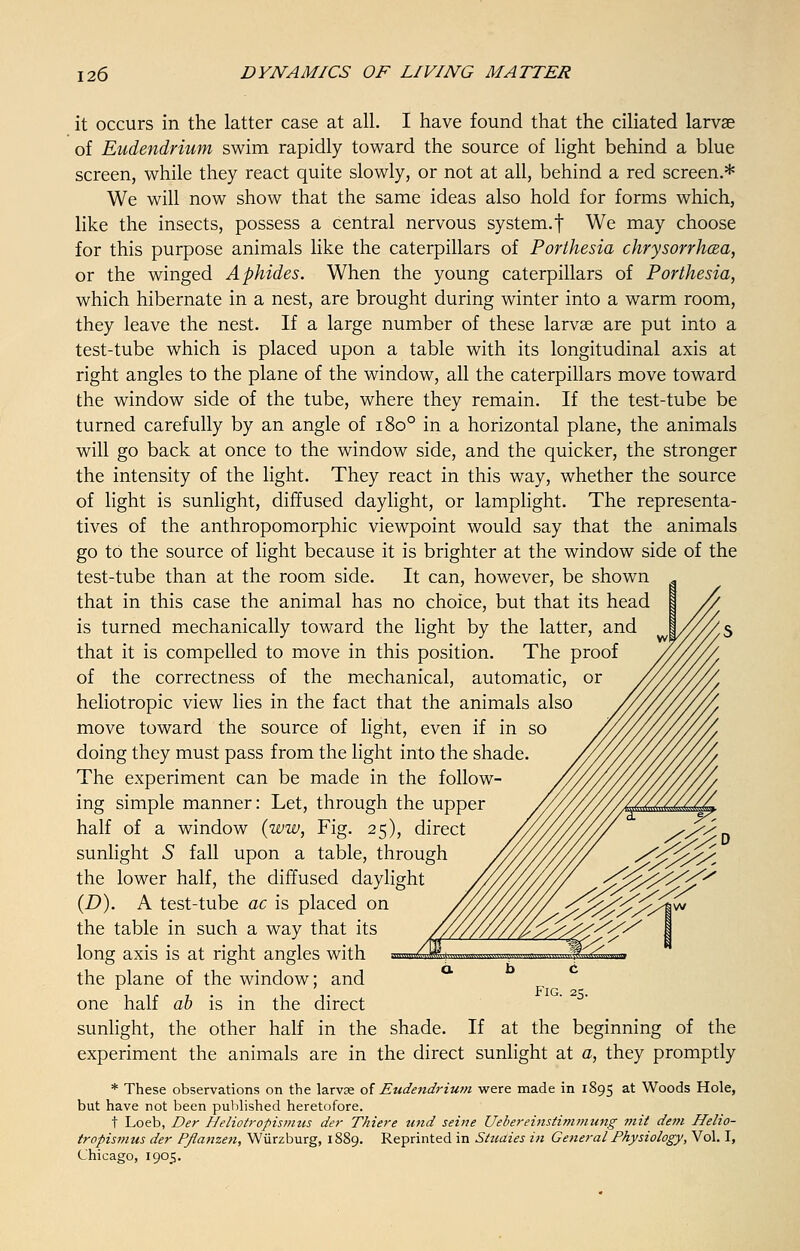it occurs in the latter case at all. I have found that the ciliated larvae of Eudendrium swim rapidly toward the source of light behind a blue screen, while they react quite slowly, or not at all, behind a red screen.* We will now show that the same ideas also hold for forms which, like the insects, possess a central nervous system.f We may choose for this purpose animals like the caterpillars of Porthesia chrysorrhcsa, or the winged Aphides. When the young caterpillars of Porthesia, which hibernate in a nest, are brought during winter into a warm room, they leave the nest. If a large number of these larvae are put into a test-tube which is placed upon a table with its longitudinal axis at right angles to the plane of the window, all the caterpillars move toward the window side of the tube, where they remain. If the test-tube be turned carefully by an angle of 1800 in a horizontal plane, the animals will go back at once to the window side, and the quicker, the stronger the intensity of the light. They react in this way, whether the source of light is sunlight, diffused daylight, or lamplight. The representa- tives of the anthropomorphic viewpoint would say that the animals go to the source of light because it is brighter at the window side of the test-tube than at the room side. It can, however, be shown that in this case the animal has no choice, but that its head | is turned mechanically toward the light by the latter, and that it is compelled to move in this position. The proof of the correctness of the mechanical, automatic, or heliotropic view lies in the fact that the animals also move toward the source of light, even if in so doing they must pass from the light into the shade. The experiment can be made in the follow- ing simple manner: Let, through the upper half of a window (ww, Fig. 25), direct sunlight 5 fall upon a table, through the lower half, the diffused daylight (D). A test-tube ac is placed on the table in such a way that its long axis is at right angles with the plane of the window; and one half ab is in the direct sunlight, the other half in the shade. If at the beginning of the experiment the animals are in the direct sunlight at a, they promptly * These observations on the larvae of Eudendrium were made in 1895 at Woods Hole, but have not been published heretofore. t Loeb, Der Heliotropis?nus der Thiere und seine Uebereinstimmung ??iit dem Helio- tropismus der PJianzen, Wurzburg, 1889. Reprinted in Studies in General Physiology, Vol. I, Chicago, 1905. Fig. 25.
