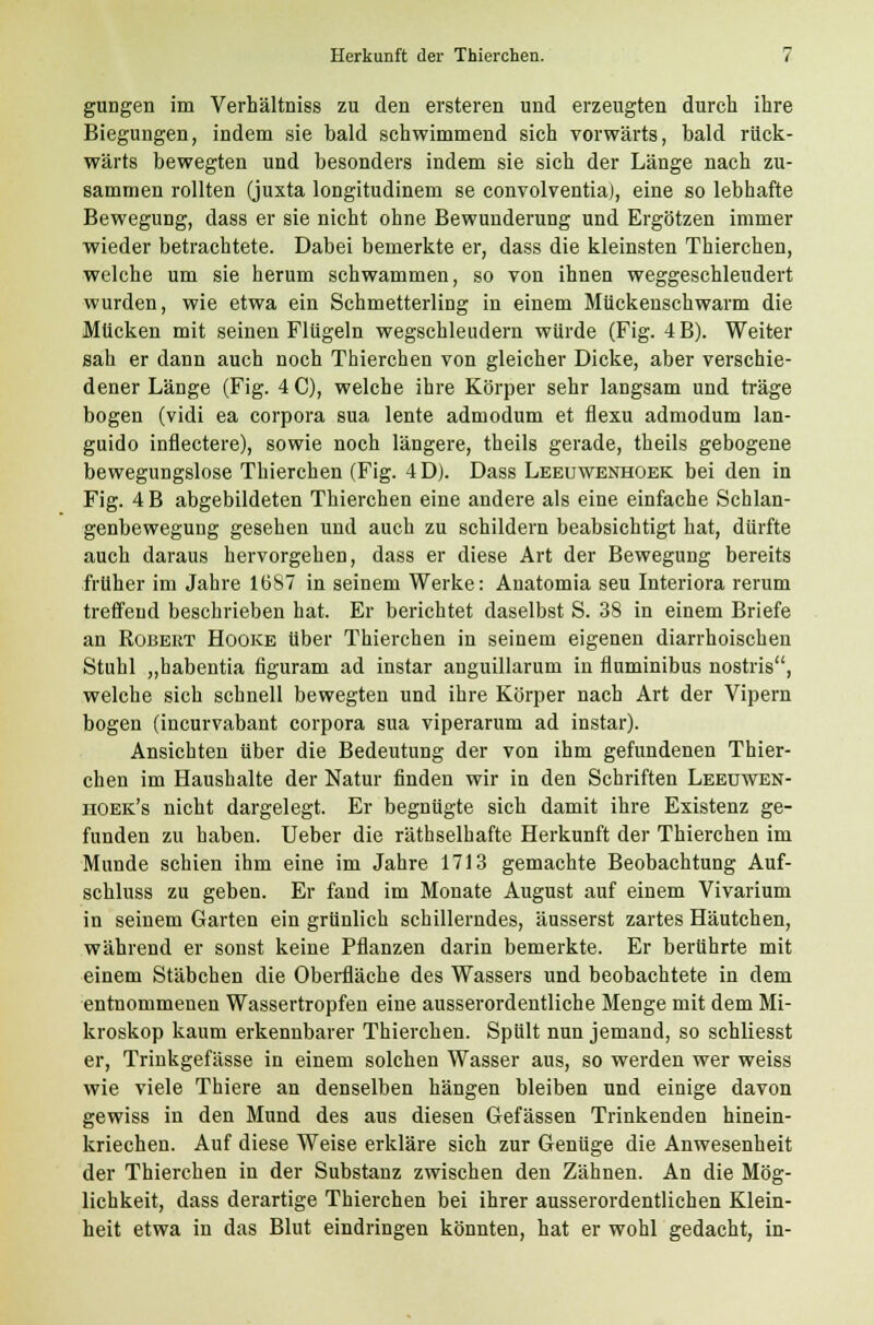 gungen im Verhältniss zu den ersteren und erzeugten durch ihre Biegungen, indem sie bald schwimmend sich vorwärts, bald rück- wärts bewegten und besonders indem sie sich der Länge nach zu- sammen rollten (juxta longitudinem se convolventia), eine so lebhafte Bewegung, dass er sie nicht ohne Bewunderung und Ergötzen immer wieder betrachtete. Dabei bemerkte er, dass die kleinsten Thierchen, welche um sie herum schwammen, so von ihnen weggeschleudert wurden, wie etwa ein Schmetterling in einem Mückenschwarm die Mücken mit seinen Flügeln wegschleudern würde (Fig. 4 B). Weiter sah er dann auch noch Thierchen von gleicher Dicke, aber verschie- dener Länge (Fig. 4C), welche ihre Körper sehr langsam und träge bogen (vidi ea corpora sua lente admodum et flexu admodum lan- guido inflectere), sowie noch längere, theils gerade, theils gebogene bewegungslose Thierchen (Fig. 4D). Dass Leeuwenhoek bei den in Fig. 4 B abgebildeten Thierchen eine andere als eine einfache Schlan- genbewegung gesehen und auch zu schildern beabsichtigt hat, dürfte auch daraus hervorgehen, dass er diese Art der Bewegung bereits früher im Jahre 1687 in seinem Werke: Anatomia seu Interiora rerum treffend beschrieben hat. Er berichtet daselbst S. 38 in einem Briefe an Robert Hooke über Thierchen in seinem eigenen diarrhoischen Stuhl „habentia figuram ad instar anguillarum in fiuminibus nostris, welche sich schnell bewegten und ihre Körper nach Art der Vipern bogen (incurvabant corpora sua viperarum ad instar). Ansichten über die Bedeutung der von ihm gefundenen Thier- chen im Haushalte der Natur finden wir in den Schriften Leeüwen- hoek's nicht dargelegt. Er begnügte sich damit ihre Existenz ge- funden zu haben. Ueber die räthselhafte Herkunft der Thierchen im Munde schien ihm eine im Jahre 1713 gemachte Beobachtung Auf- schluss zu geben. Er fand im Monate August auf einem Vivarium in seinem Garten ein grünlich schillerndes, äusserst zartes Häutchen, während er sonst keine Pflanzen darin bemerkte. Er berührte mit einem Stäbchen die Oberfläche des Wassers und beobachtete in dem entnommenen Wassertropfen eine ausserordentliche Menge mit dem Mi- kroskop kaum erkennbarer Thierchen. Spült nun jemand, so schliesst er, Trinkgefässe in einem solchen Wasser aus, so werden wer weiss wie viele Thiere an denselben hängen bleiben und einige davon gewiss in den Mund des aus diesen Gefässen Trinkenden hinein- kriechen. Auf diese Weise erkläre sich zur Genüge die Anwesenheit der Thierchen in der Substanz zwischen den Zähnen. An die Mög- lichkeit, dass derartige Thierchen bei ihrer ausserordentlichen Klein- heit etwa in das Blut eindringen könnten, hat er wohl gedacht, in-