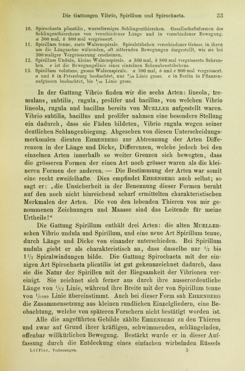 10. Spirochaeta plicatilis, wurmfürmiges Schlingenthierchen. Gesellschaftsformen des Schlingenthierchens von verschiedener Länge und in verschiedener Bewegung. a 300 mal, b 800 mal vergrössert. 11. Spirillum tenue, zarte Walzenspirale. Spiralstäbchen verschiedener Grösse in ihren um die Längsachse wälzenden, oft zitternden Bewegungen dargestellt, wie sie bei 300 maliger Vergrüsserung erscheinen. 12. Spirillum Undula, kleine Walzenspirale, a 300 mal, b 800 mal vergrösserte Schrau- ben, c ist die Bewegungslinie eines einzelnen Schraubenstähchens. 13. Spirillum volutans, grosse Walzenspirale, a 300 mal, b und c 800 mal vergrössert. a und b in Petersburg beobachtet, nur '/'J6 Linie gross, c in Berlin in Pflanzen- aufgüssen beobachtet, bis '/« Linie gross. In der Gattung Vibrio finden wir die sechs Arten: lineola, tre- mulans, subtilis, rugula, prolifer und bacillus, von welchen Vibrio lineola, rugula und bacillus bereits von Muelleb aufgestellt waren. Vibrio subtilis, bacillus und prolifer nahmen eine besondere Stellung ein dadurch, dass sie Fäden bildeten, Vibrio rugula wegen seiner deutlichen Schlangenbiegung. Abgesehen von diesen Unterscheidungs- merkmalen dienten Ehrenberg zur Abtrennung der Arten Diffe- renzen in der Länge und Dicke, Differenzen, welche jedoch bei den einzelnen Arten innerhalb so weiter Grenzen sich bewegten, dass die grösseren Formen der einen Art noch grösser waren als die klei- neren Formen der anderen. — Die Bestimmung der Arten war somit eine recht zweifelhafte. Dies empfindet Ehrenberg auch selbst; so sagt er: „die Unsicherheit in der Benennung dieser Formen beruht auf den noch nicht hinreichend scharf ermittelten charakteristischen Merkmalen der Arten. Die von den lebenden Thieren von mir ge- nommenen Zeichnungen und Maasse sind das Leitende für meine Urtheile! Die Gattung Spirillum enthält drei Arten: die alten Mueller- schen Vibrio undula und Spirillum, und eine neue Art Spirillum tenue, durch Länge und Dicke von einander unterschieden. Bei Spirillum undula giebt er als charakteristisch an, dass dasselbe nur l/a bis 1 '/> Spiralwindungen bilde. Die Gattung Spirochaeta mit der ein- zigen Art Spirochaeta plicatilis ist gut gekennzeichnet dadurch, dass sie die Natur der Spirillen mit der Biegsamkeit der Vibrionen ver- einigt. Sie zeichnet sich ferner aus durch ihre ausserordentliche Länge von 'jn Linie, während ihre Breite mit der von Spirillum tenue von V ooo Linie übereinstimmt. Auch bei dieser Form sah Ehrenberg die Zusammensetzung aus kleinen rundlichen Einzelgliedern, eine Be- obachtung, welche von späteren Forschern nicht bestätigt worden ist. Alle die angeführten Gebilde zählte Ehrenberg zu den Thieren und zwar auf Grund ihrer kräftigen, schwimmenden, schlängelnden, offenbar willkürlichen Bewegung. Bestärkt wurde er in dieser Auf- fassung durch die Entdeckung eines einfachen wirbelnden Rüssels Löffler, Vorlesungen. 3