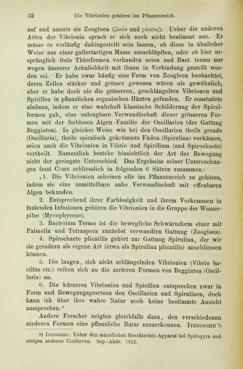 auf und nannte sie Zoogloea (Cioov und ykoios)* Ueber die anderen Arten der Vibrionia sprach er sich noch nicht bestimmt aus. Er müsse es vorläufig dahingestellt sein lassen, ob diese in ähnlicher Weise aus einer gallertartigen Masse ausschlüpften, oder ob hier ur- sprünglich freie Thierformen vorhanden seien und Bact. terrno nur wegen äusserer Aehnlichkeit mit ihnen in Verbindung gestellt wor- den sei. Er habe zwar häufig eine Form von Zoogloea beobachtet, deren Zellen stärker und grösser gewesen wären als gewöhnlich, aber er habe doch nie die grösseren, geschlängelten Vibrionen und Spirillen in pflanzlichen organischen Häuten gefunden. Er constatirte alsdann, indem er eine wahrhaft klassische Schilderung der Spiral- formen gab, eine unleugbare Verwandtschaft dieser grösseren For- men mit der farblosen Algen-Familie der Oscillarien (der Gattung Beggiatoa). In gleicher Weise wie bei den Oscillarien theils gerade (Oscillaria), theils spiralisch gekrümmte Fäden (Spirulina) vorkämen, seien auch die Vibrionien in Vibrio und Spirillum (und Spirocbaete) vertheilt. Namentlich bestehe hinsichtlich der Art der Bewegung nicht der geringste Unterschied. Das Ergebniss seiner Untersuchun- gen fasst Cohn schliesslich in folgenden 6 Sätzen zusammen: „1. Die Vibrionien scheinen alle ins Pflanzenreich zu gehören, indem sie eine unmittelbare nahe Verwandtschaft mit offenbaren Algen bekunden. 2. Entsprechend ihrer Farblosigkeit und ihrem Vorkommen in faulenden Infusionen gehören die Vibrionien in die Gruppe der Wasser- pilze (Mycophyceae). 3. Bacterium Termo ist die bewegliche Schwärmform einer mit Palmella und Tetraspora zunächst verwandten Gattung (Zoogloea). 4. Spirochaete plicatilis gehört zur Gattung Spirulina, der wir sie geradezu als eigene Art (etwa als Spirulina plicatilis) anschliessen können. 5. Die langen, sich nicht schlängelnden Vibrionien (Vibrio ba- cillus etc.) reihen sich an die zarteren Formen von Beggiatoa (Oscil- laria) an. 6. Die kürzeren Vibrionien und Spirillen entsprechen zwar in Form und Bewegungsgesetzen den Oscillarien und Spirulinen, doch kann ich über ihre wahre Natur noch keine bestimmte Ansicht aussprechen. Andere Forscher neigten gleichfalls dazu, den verschiedenen niederen Formen eine pflanzliche Natur zuzuerkennen. Itzigsohn8) 8) Itzigsohn: Ueber den männlichen Geschlechts-Apparat bei Spirogyra und einigen anderen Conferven. Sep.-Abdr. 1852.