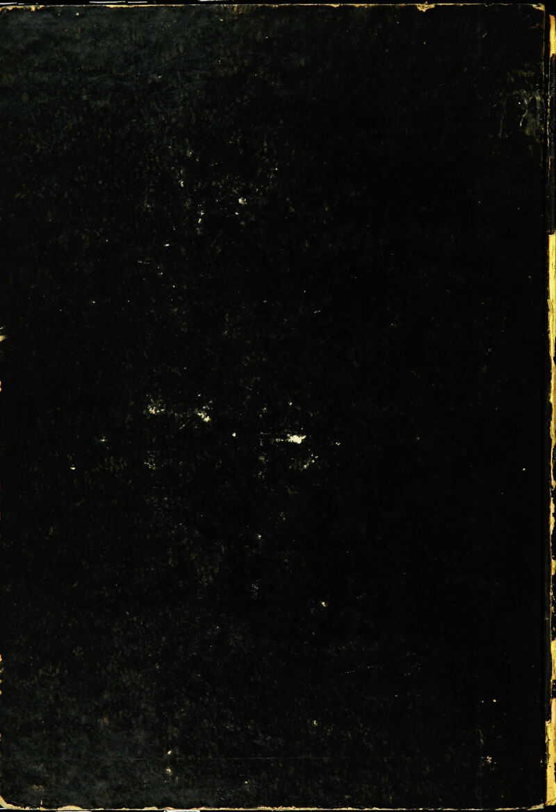 SranS RS WmSm Hfl Wr9 ■mBUK^JI T. - ■ ■ ±i SEK ■DH ■F