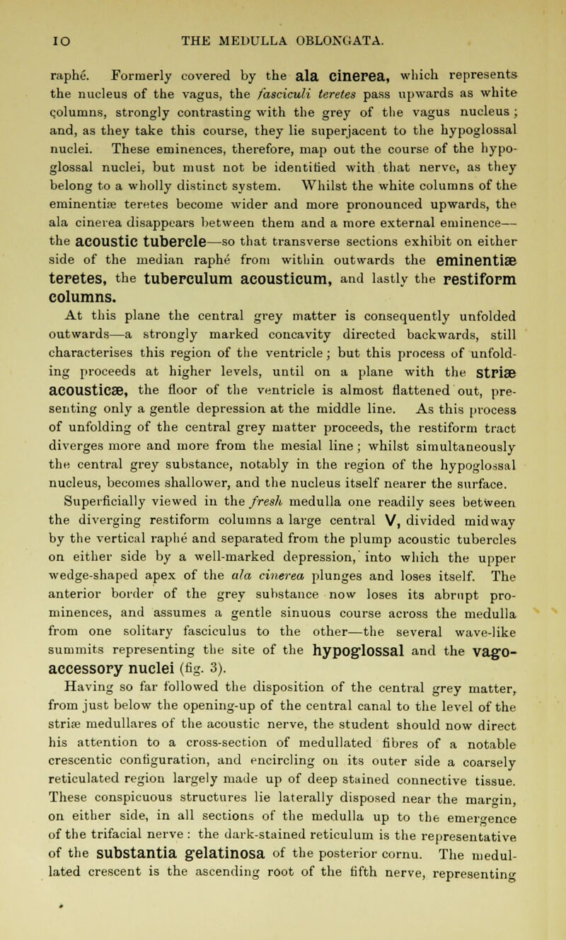 raphe. Formerly covered by the ala cinepea, which represents the nucleus of the vagus, the fasciculi teretes pass upwards as white qolumns, strongly contrasting with the grey of the vagus nucleus ; and, as they take this course, they lie superjacent to the hypoglossal nuclei. These eminences, therefore, map out the course of the hypo- glossal nuclei, but must not be identified with that nerve, as they belong to a wholly distinct system. Whilst the white columns of the eminentiie teretes become wider and more pronounced upwards, the ala cinevea disappears between them and a more external eminence— the acoustic tubercle—so that transverse sections exhibit on either side of the median raphe from within outwards the eminentise teretes, the tuberculum acousticum, and lastly the restiform columns. At this plane the central grey matter is consequently unfolded outwards—a strongly marked concavity directed backwards, still characterises this region of the ventricle; but this process of unfold- ing proceeds at higher levels, until on a plane with the Stria? acOUStica?, the floor of the ventricle is almost flattened out, pre- senting only a gentle depression at the middle line. As this process of unfolding of the central grey matter proceeds, the restiform tract diverges more and more from the mesial line; whilst simultaneously the central grey substance, notably in the region of the hypoglossal nucleus, becomes shallower, and the nucleus itself nearer the surface. Superficially viewed in the fresh medulla one readily sees between the diverging restiform columns a large central V, divided midway by the vertical raphe and separated from the plump acoustic tubercles on either side by a well-marked depression, into which the upper wedge-shaped apex of the ala cinerea plunges and loses itself. The anterior border of the grey substance now loses its abrupt pro- minences, and assumes a gentle sinuous course across the medulla from one solitary fasciculus to the other—the several wave-like summits representing the site of the hypoglossal and the vagO- accessory nuclei (fig. 3). Having so far followed the disposition of the central grey matter, from just below the opening-up of the central canal to the level of the striae medullares of the acoustic nerve, the student should now direct his attention to a cross-section of medullated fibres of a notable crescentic configuration, and encircling on its outer side a coarsely reticulated region largely made up of deep stained connective tissue. These conspicuous structures lie laterally disposed near the mar»in on either side, in all sections of the medulla up to the emergence of the trifacial nerve : the dark-stained reticulum is the representative of the substantia gelatinosa of the posterior cornu. The medul- lated crescent is the ascending root of the fifth nerve, representing