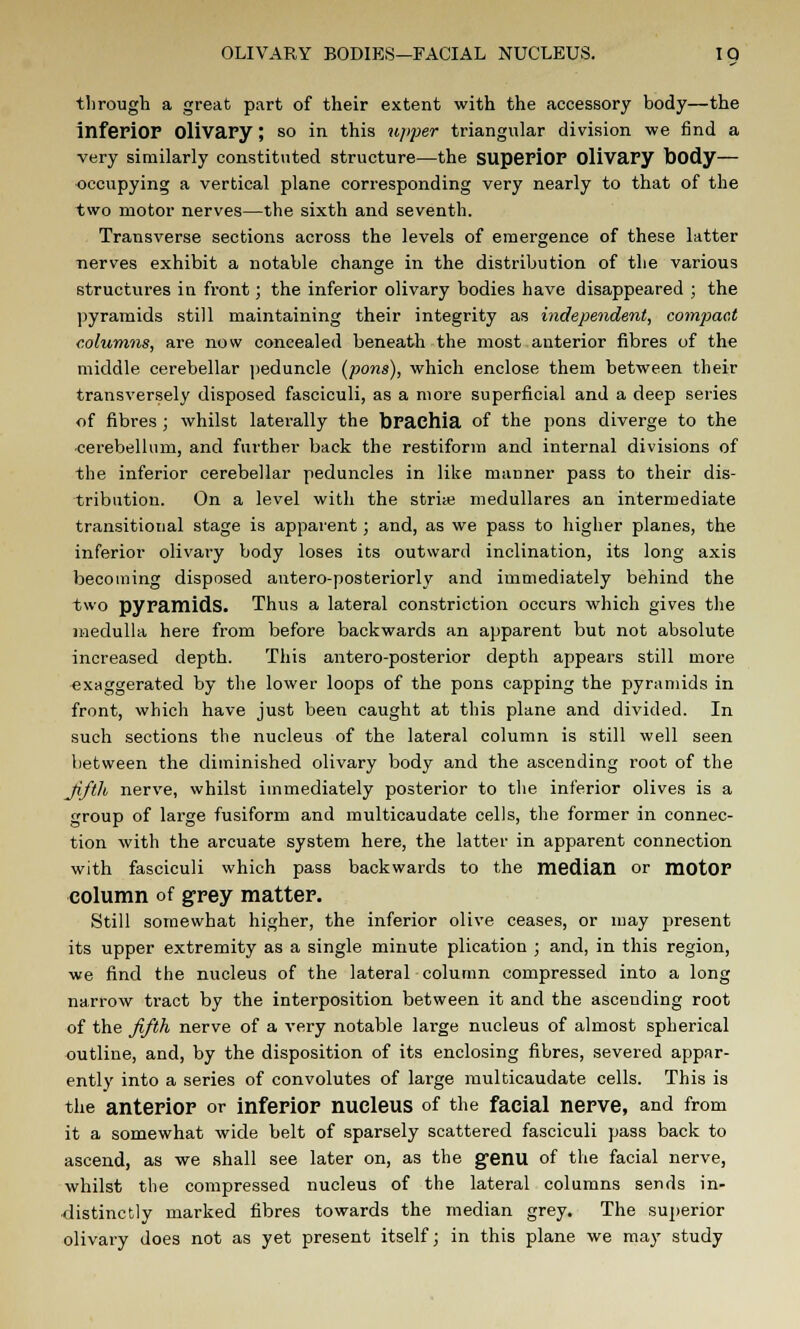 through a great part of their extent with the accessory body—the inferior Olivary; so in this ripper triangular division we find a very similarly constituted structure—the superior Olivary body— occupying a vertical plane corresponding very nearly to that of the two motor nerves—the sixth and seventh. Transverse sections across the levels of emergence of these latter nerves exhibit a notable change in the distribution of the various structures in front; the inferior olivary bodies have disappeared ; the pyramids still maintaining their integrity as independent, compact columns, are now concealed beneath the most anterior fibres of the middle cerebellar peduncle (pons), which enclose them between their transversely disposed fasciculi, as a more superficial and a deep series of fibres ; whilst laterally the brachia of the pons diverge to the cerebellum, and further back the restiform and internal divisions of the inferior cerebellar peduncles in like manner pass to their dis- tribution. On a level with the stri* medullares an intermediate transitional stage is apparent; and, as we pass to higher planes, the inferior olivary body loses its outward inclination, its long axis becoming disposed antero-posteriorly and immediately behind the two pyramids. Thus a lateral constriction occurs which gives the medulla here from before backwards an apparent but not absolute increased depth. This antero-posterior depth appears still more exaggerated by the lower loops of the pons capping the pyramids in front, which have just been caught at this plane and divided. In such sections the nucleus of the lateral column is still well seen between the diminished olivary body and the ascending root of the Jifth nerve, whilst immediately posterior to the inferior olives is a group of large fusiform and multicaudate cells, the former in connec- tion with the arcuate system here, the latter in apparent connection with fasciculi which pass backwards to the median or motor column of grey matter. Still somewhat higher, the inferior olive ceases, or may present its upper extremity as a single minute plication ; and, in this region, we find the nucleus of the lateral column compressed into a long narrow tract by the interposition between it and the ascending root of the fifth nerve of a very notable large nucleus of almost spherical outline, and, by the disposition of its enclosing fibres, severed appar- ently into a series of convolutes of large multicaudate cells. This is the anterior or inferior nucleus of the facial nerve, and from it a somewhat wide belt of sparsely scattered fasciculi pass back to ascend, as we shall see later on, as the genu of the facial nerve, whilst the compressed nucleus of the lateral columns sends in- distinctly marked fibres towards the median grey. The superior olivary does not as yet present itself; in this plane we may study