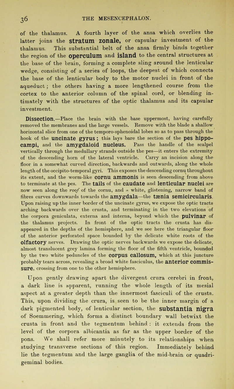 of the thalamus. A fourth layer of the ansa which overlies the latter joins the stratum ZOnale, or capsular investment of the thalamus. This substantial belt of the ansa firmly binds together the region of the operculum and island to the central structures at the base of the brain, forming a complete sling around the lenticular wedge, consisting of a series of loops, the deepest of which connects the base of the lenticular body to the motor nuclei in front of the aqueduct; the others having a more lengthened course from the cortex to the anterior column of the spinal cord, or blending in- timately with the structures of the optic thalamus and its capsular investment. Dissection.—Place the brain with the base uppermost, having carefully removed the membranes and the large vessels. Remove with the blade a shallow horizontal slice from one of the temporo-sphenoidal lobes so as to pass through the hook of the uncinate gyrus ; this lays bare the section of the pes hippo- campi, and the amygdaloid nucleus. Pass the handle of the scalpel vertically through the medullary strands outside the pes—it enters the extremity of the descending horn of the lateral ventricle. Carry an incision along the floor in a somewhat curved direction, backwards and outwards, along the whole length of the occipitotemporal gyri. This exposes the descending cornu throughout its extent, and the worm-like COPnu ammonis is seen descending from above to terminate at the pes. The tails of the caudate and lenticular nuclei are now seen along the roof of the cornu, and ■■< white, glistening, narrow band of fibres curves downwards towards the amygdala—the tsenia semieircularis. Upon raising up the inner border of the uncinate gyrus, we expose the optic tracts arching backwards over the crusta, and terminating in the two elevations of the corpora geniculata, externa and interna, beyond which the pulvinar of the thalamus projects. In front of the optic tracts the crusta has dis- appeared in the depths of the hemisphere, and we see here the triangular floor of the anterior perforated space bounded by the delicate white roots of the Olfactory nerves. Drawing the optic nerves backwards we expose the delicate, almost translucent grey lamina forming the floor of the fifth ventricle, bounded b}' the two white peduncles of the corpus callosum, which at this juncture probably tears across, revealing a broad white fasciculus, the anterior Commis- sure, crossing from one to the other hemisphere. Upon gently drawing apart the divergent crura cerebri in front, a dark line is apparent, running the whole length of its mesial aspect at a greater depth than the innermost fasciculi of the crusta. This, upon dividing the crura, is seen to be the inner margin of a dark pigmented body, of lenticular section, the substantia nigra of Soemmering, which forms a distinct boundary wall betwixt the crusta in front and the tegmentum behind : it extends from the level of the corpora albicantia as far as the upper border of the pons. We shall refer more minutely to its relationships when studying transverse sections of this region. Immediately behind lie the tegmentum and the large ganglia of the mid-brain or quadri- geminal bodies.