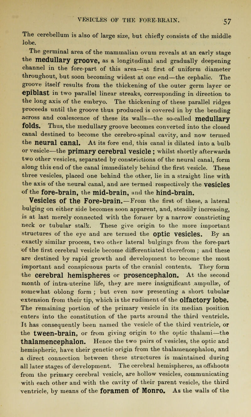 The cerebellum is also of large size, but chiefly consists of the middle lobe. The germinal area of the mammalian ovum reveals at an early stage the medullary groove, as a longitudinal and gradually deepening channel in the fore-part of this area—at first of uniform diameter throughout, but soon becoming widest at one end—the cephalic. The groove itself results from the thickening of the outer germ layer or €pit)last in two parallel linear streaks, corresponding in direction to the long axis of the embryo. The thickening of these parallel ridges proceeds until the groove thus produced is covered in by the bending across and coalescence of these its walls—the so-called medullary folds. Thus, the medullary groove becomes converted into the closed canal destined to become the cerebro-spinal cavity, and now termed the neural Canal. At its fore end, this canal is dilated into a bulb or vesicle—the primary Cerebral Vesicle ; whilst shortly afterwards two other vesicles, separated by constrictions of the neural canal, form along this end of the canal immediately behind the first vesicle. These three vesicles, placed one behind the other, lie in a straight line with the axis of the neural canal, and are termed respectively the vesicles of the fore-brain, the mid-brain, and the hind-brain. Vesicles Of the Fore-brain. —From the first of these, a lateral bulging on either side becomes soon apparent, and, steadily increasing, is at last merely connected with the former by a narrow constricting neck or tubular stalk. These give origin to the more important structures of the eye and are termed the optic Vesicles. By an exactly similar process, two other lateral bulgings from the fore-part of the first cerebral vesicle become differentiated therefrom ; and these are destined by rapid growth and development to become the most important and conspicuous parts of the cranial contents. They form the cerebral hemispheres or prosencephalon. At the second month of intra-uterine life, they are mere insignificant ampullae, of somewhat oblong form ; but even now presenting a short tubular extension from their tip, which is the rudiment of the olfactory lobe. The remaining portion of the primary vesicle in its median position enters into the constitution of the parts around the third ventricle. It has consequently been named the vesicle of the third ventricle, or the tween-brain, or from giving origin to the optic thalami—the thalamencephalon. Hence the two pairs of vesicles, the optic and hemispheric, have their genetic origin from the thalamencephalon, and a direct connection between these structures is maintained during all later stages of development. The cerebral hemispheres, as offshoots from the primary cerebral vesicle, are hollow vesicles, communicating witli each other and with the cavity of their parent vesicle, the third ventricle, by means of the foramen Of Monro. As the walls of the