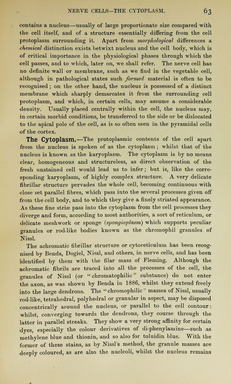 contains a nucleus—usually of lai'ge proportionate size compared with the cell itself, and of a structure essentially differing from the cell protoplasm surrounding it. Apart from morphological differences a chemical distinction exists betwixt nucleus and the cell body, which is of critical importance in the physiological phases through which the cell passes, and to which, later on, we shall refer. The nerve cell has no definite wall or membrane, such as we find in the vegetable cell, although in pathological states such formed material is often to be recognised; on the other hand, the nucleus is possessed of a distinct membrane which sharply demarcates it from the surrounding cell protoplasm, and which, in certain cells, may assume a considerable density. Usually placed centrally within the cell, the nucleus may, in certain morbid conditions, be transferred to the side or be dislocated to the apical pole of the cell, as is so often seen in the pyramidal cells of the cortex. The Cytoplasm.—The protoplasmic contents of the cell apart from the nucleus is spoken of as the cytoplasm ; whilst that of the nucleus is known as the karyoplasm. The cytoplasm is by no means clear, homogeneous and structureless, as direct observation of the fresh unstained cell would lead us to infer; but is, like the corre- sponding karyoplasm, of highly complex structure. A very delicate fibrillar structure pervades the whole cell, becoming continuous with close set parallel fibres, which pass into the several processes given off from the cell body, and to which they give a finely striated appearance. As these fine strife pass into the cytoplasm from the cell processes they diverge and form, according to most authorities, a sort of reticulum, or delicate meshwork or sponge (spongioplasm) which supports peculiar granules or rod-like bodies known as the chromophil granules of Nissl. The achromatic fibrillar structure or cytoreticulum has been recog- nised by Benda, Dogiel, Nissl, and others, in nerve cells, and has been identified by them with the filar mass of Fleming. Although the achromatic fibrils are traced into all the processes of the cell, the Granules of Nissl (or  chromatophilic substance) do not enter the axon, as was shown by Benda in 1886, whilst they extend freely into the large dendrons. The  chromophilic  masses of Nissl, usually rod-like, tetrahedral, polyhedral or granular in aspect, may be disposed concentrically around the nucleus, or parallel to the cell contour: whilst, converging towards the dendrons, they course through the latter in parallel streaks. They show a very strong affinity for certain dyes, especially the colour derivatives of di-phenylamine—such as methylene blue and thionin, and so also for toluidin blue. With the former of these stains, as by Nissl's method, the granule masses are deeply coloured, as are also the nucleoli, whilst the nucleus remains