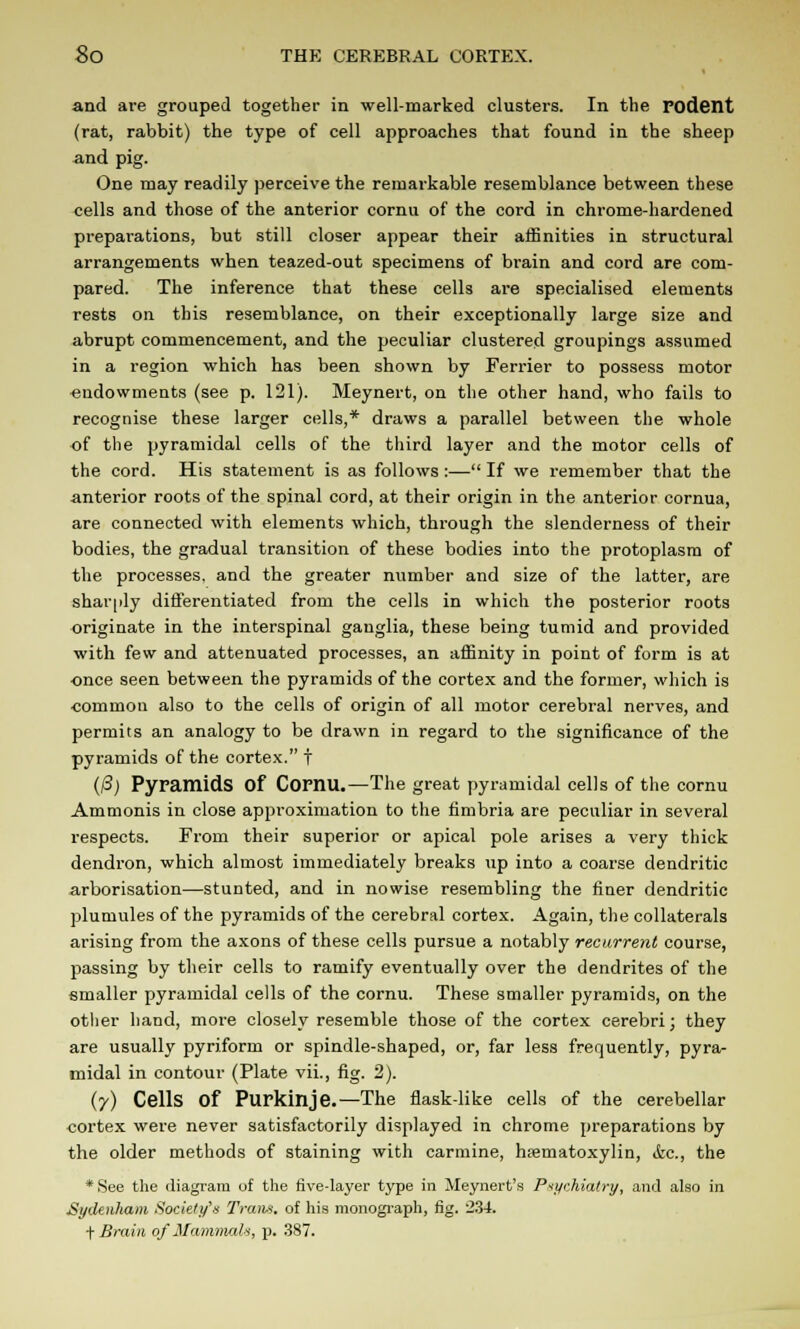 and are grouped together in well-marked clusters. In the Fodent (rat, rabbit) the type of cell approaches that found in the sheep and pig. One may readily perceive the remarkable resemblance between these cells and those of the anterior cornu of the cord in chrome-hardened preparations, but still closer appear their affinities in structural arrangements when teazed-out specimens of brain and cord are com- pared. The inference that these cells are specialised elements rests on this resemblance, on their exceptionally large size and abrupt commencement, and the peculiar clustered groupings assumed in a region which has been shown by Terrier to possess motor endowments (see p. 121). Meynert, on the other hand, who fails to recognise these larger cells,* draws a parallel between the whole of the pyramidal cells of the third layer and the motor cells of the cord. His statement is as follows :— If we remember that the anterior roots of the spinal cord, at their origin in the anterior cornua, are connected with elements which, through the slenderness of their bodies, the gradual transition of these bodies into the protoplasm of the processes, and the greater number and size of the latter, are shaqily differentiated from the cells in which the posterior roots originate in the interspinal ganglia, these being tumid and provided with few and attenuated processes, an affinity in point of form is at once seen between the pyramids of the cortex and the former, which is common also to the cells of origin of all motor cerebral nerves, and permits an analogy to be drawn in regard to the significance of the pyramids of the cortex. f ((3) Pyramids Of Cornu.—The great pyramidal cells of the cornu Ammonis in close approximation to the fimbria are peculiar in several respects. From their superior or apical pole arises a very thick dendron, which almost immediately breaks up into a coarse dendritic arborisation—stunted, and in nowise resembling the finer dendritic plumules of the pyramids of the cerebral cortex. Again, the collaterals arising from the axons of these cells pursue a notably recurrent course, passing by their cells to ramify eventually over the dendrites of the smaller pyramidal cells of the cornu. These smaller pyramids, on the other hand, more closely resemble those of the cortex cerebri; they are usually pyriform or spindle-shaped, or, far less frequently, pyra- midal in contour (Plate vii., fig. 2). (7) Cells Of Purkinje.—The flask-like cells of the cerebellar cortex were never satisfactorily displayed in chrome preparations by the older methods of staining with carmine, hfematoxylin, ifec, the * See the diagram of the five-layer type in Meynert's Psychiatry, and also in Sydenham Society's Tram, of his monograph, fig. 234. t Brain of Mammals, p. 387.