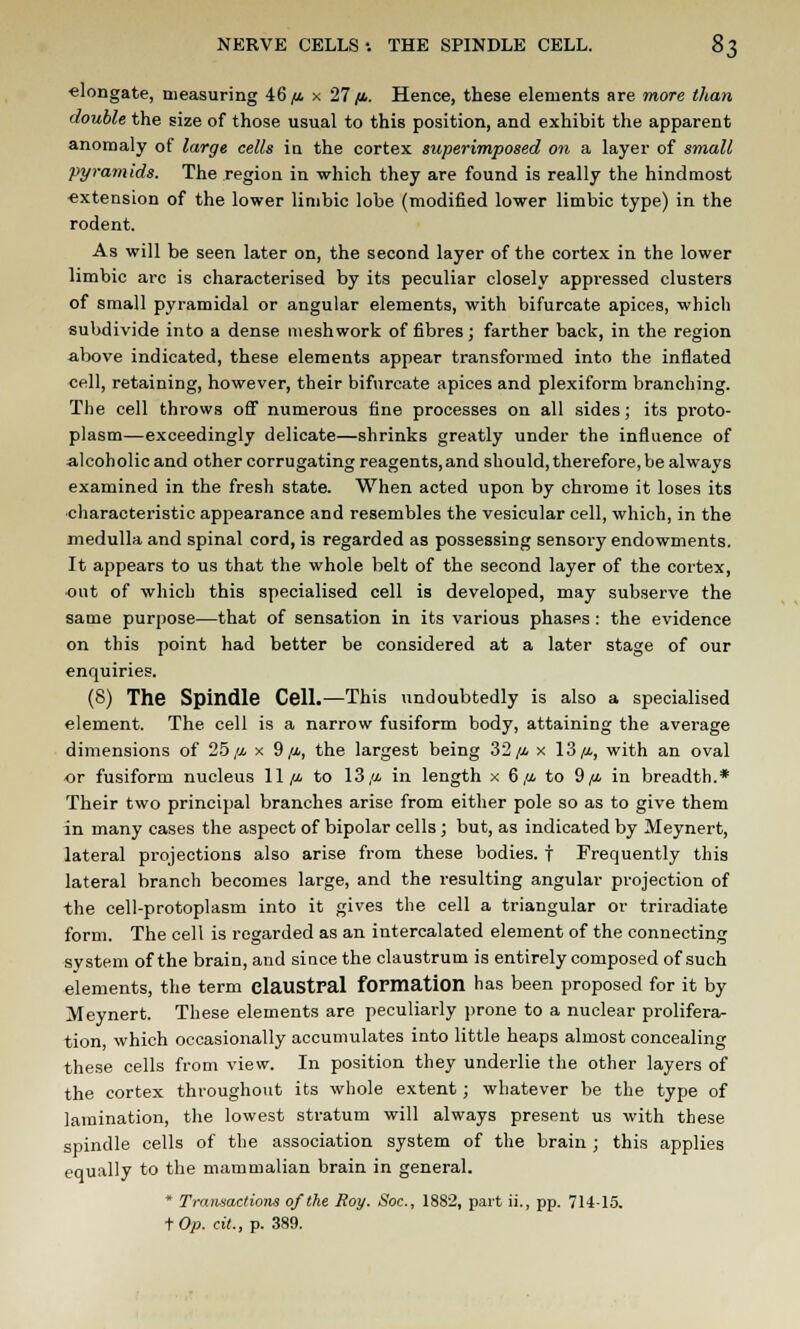 elongate, measuring 46 /* x 27/4. Hence, these elements are more than double the size of those usual to this position, and exhibit the apparent anomaly of large cells in the cortex superimposed on a layer of small pyramids. The region in which they are found is really the hindmost extension of the lower limbic lobe (modified lower limbic type) in the rodent. As will be seen later on, the second layer of the cortex in the lower limbic arc is characterised by its peculiar closely appressed clusters of small pyramidal or angular elements, with bifurcate apices, which subdivide into a dense meshwork of fibres; farther back, in the region above indicated, these elements appear transformed into the inflated cell, retaining, however, their bifurcate apices and plexiform branching. The cell throws off numerous fine processes on all sides; its proto- plasm—exceedingly delicate—shrinks greatly under the influence of alcoholic and other corrugating reagents, and should, therefore, be always examined in the fresh state. When acted upon by chrome it loses its characteristic appearance and resembles the vesicular cell, which, in the medulla and spinal cord, is regarded as possessing sensory endowments. It appears to us that the whole belt of the second layer of the cortex, •out of which this specialised cell is developed, may subserve the same purpose—that of sensation in its various phases : the evidence on this point had better be considered at a later stage of our enquiries. (8) The Spindle Cell.—This undoubtedly is also a specialised element. The cell is a narrow fusiform body, attaining the average dimensions of 25//. x 9/4, the largest being 32 /* x 13/4, with an oval or fusiform nucleus 11/4 to 13,u, in length x 6 jj. to 9/a in breadth.* Their two principal branches arise from either pole so as to give them in many cases the aspect of bipolar cells; but, as indicated by Meynert, lateral projections also arise from these bodies, f Frequently this lateral branch becomes large, and the resulting angular projection of the cell-protoplasm into it gives the cell a triangular or triradiate form. The cell is regarded as an intercalated element of the connecting system of the brain, and since the claustrum is entirely composed of such elements, the term claustral formation has been proposed for it by Meynert. These elements are peculiarly prone to a nuclear prolifera- tion, which occasionally accumulates into little heaps almost concealing these cells from view. In position they underlie the other layers of the cortex throughout its whole extent ; whatever be the type of lamination, the lowest stratum will always present us with these spindle cells of the association system of the brain; this applies equally to the mammalian brain in general. * Transactions of the Roy. Soc, 1882, part ii., pp. 714-15. iOp. cit., p. 389.