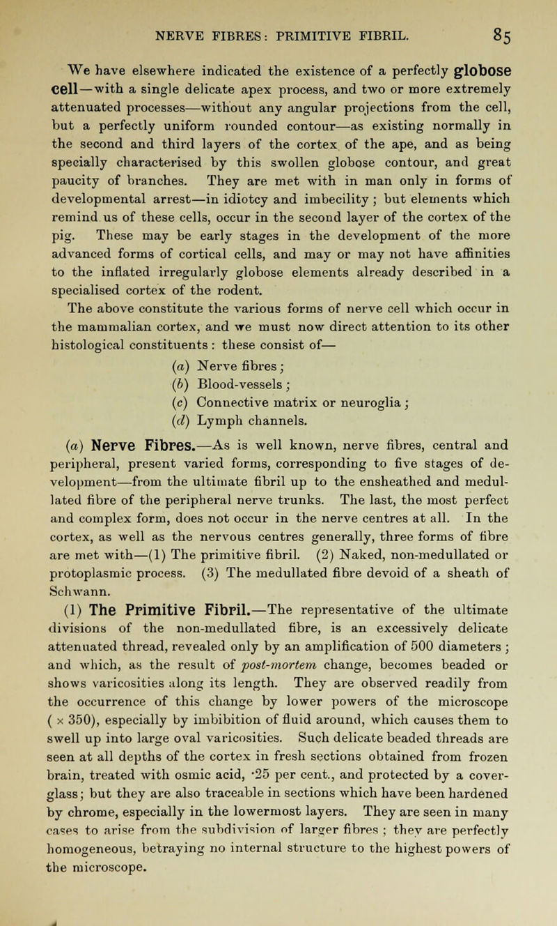 We have elsewhere indicated the existence of a perfectly globose Cell—with a single delicate apex process, and two or more extremely attenuated processes—without any angular projections from the cell, but a perfectly uniform rounded contour—as existing normally in the second and third layers of the cortex of the ape, and as being specially characterised by this swollen globose contour, and great paucity of branches. They are met with in man only in forms of developmental arrest—in idiotcy and imbecility ; but elements which remind us of these cells, occur in the second layer of the cortex of the pig. These may be early stages in the development of the more advanced forms of cortical cells, and may or may not have affinities to the inflated irregularly globose elements already described in a specialised cortex of the rodent. The above constitute the various forms of nerve cell which occur in the mammalian cortex, and we must now direct attention to its other histological constituents : these consist of— (a) Nerve fibres ; (b) Blood-vessels ; (c) Connective matrix or neuroglia ; (d) Lymph channels. (a) Nerve Fibres.—As is well known, nerve fibres, central and peripheral, present varied forms, corresponding to five stages of de- velopment—from the ultimate fibril up to the ensheathed and medul- lated fibre of the peripheral nerve trunks. The last, the most perfect and complex form, does not occur in the nerve centres at all. In the cortex, as well as the nervous centres generally, three forms of fibre are met with—(1) The primitive fibril. (2) Naked, non-medullated or protoplasmic process. (3) The medullated fibre devoid of a sheath of Schwann. (1) The Primitive Fibril.—The representative of the ultimate divisions of the non-medullated fibre, is an excessively delicate attenuated thread, revealed only by an amplification of 500 diameters ; and which, as the result of post-mortem change, becomes beaded or shows varicosities along its length. They are observed readily from the occurrence of this change by lower powers of the microscope ( x 350), especially by imbibition of fluid around, which causes them to swell up into large oval varicosities. Such delicate beaded threads are seen at all depths of the cortex in fresh sections obtained from frozen brain, treated with osmic acid, -25 per cent., and protected by a cover- glass ; but they are also traceable in sections which have been hardened by chrome, especially in the lowermost layers. They are seen in many cases to arise from the subdivision of larger fibres ; thev are perfectly homogeneous, betraying no internal structure to the highest powers of the microscope.