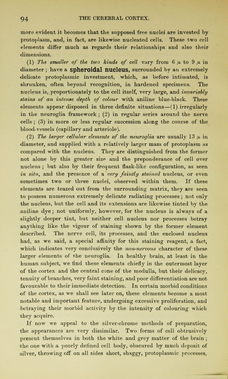 more evident it becomes that the supposed free nuclei are invested by protoplasm, and, in fact, are likewise nucleated cells. These two cell elements differ much as regards their relationships and also their ■dimensions. (1) Tlie smaller of the two kinds of cell vary from 6 ,a to 9 ,a in diameter ; have a spheroidal nucleus, surrounded by an extremely delicate protoplasmic investment, which, as before intimated, is shrunken, often beyond recognition, in hardened specimens. The nucleus is, proportionately to the cell itself, very large, and invariably stains of an intense depth of colour with aniline blue-black. These elements appear disposed in three definite situations—(1) irregularly in the neuroglia framework ; (2) in regular series around the nerve cells ; (3) in more or less regular succession along the course of the blood-vessels (capillary and arteriole). (2) Tlie larger cellular elements of the neuroglia are usually 13 /i in diameter, and supplied with a relatively larger mass of protoplasm as compared with the nucleus. They are distinguished from the former not alone by this greater size and the preponderance of cell over nucleus ; but also by their frequent flask-like configuration, as seen in situ, and the presence of a very faintly stained nucleus, or even sometimes two or three nuclei, observed within them. If these elements are teazed out from the surrounding matrix, they are seen to possess numerous extremely delicate radiating processes ; not only the nucleus, but the cell and its extensions are likewise tinted by the auiline dye; not uniformly, however, for the nucleus is always of a slightly deeper tint, but neither cell nucleus nor processes betray anything like the vigour of staining shown by the former element described. The nerve cell, its processes, and the enclosed nucleus had, as we said, a special affinity for this staining reagent, a fact, which indicates very conclusively the non-nervous character of these larger elements of the neuroglia. In healthy brain, at least in the human subject, we find these elements chiefly in the outermost layer of the cortex and the central cone of the medulla, but their delicacy, tenuity of branches, very faint staining, and poor differentiation are not favourable to their immediate detection. In certain morbid conditions of the cortex, as we shall see later on, these elements become a most notable and important feature, undergoing excessive proliferation, and betraying their morbid activity by the intensity of colouring which they acquire. If now we appeal to the silver-chrome methods of preparation, the appearances are very dissimilar. Two forms of cell obtrusively present themselves in both the white and grey matter of the brain ; the. one with a poorly defined cell body, obscured by much deposit of silver, throwing off on all sides short, shaggy, protoplasmic processes,