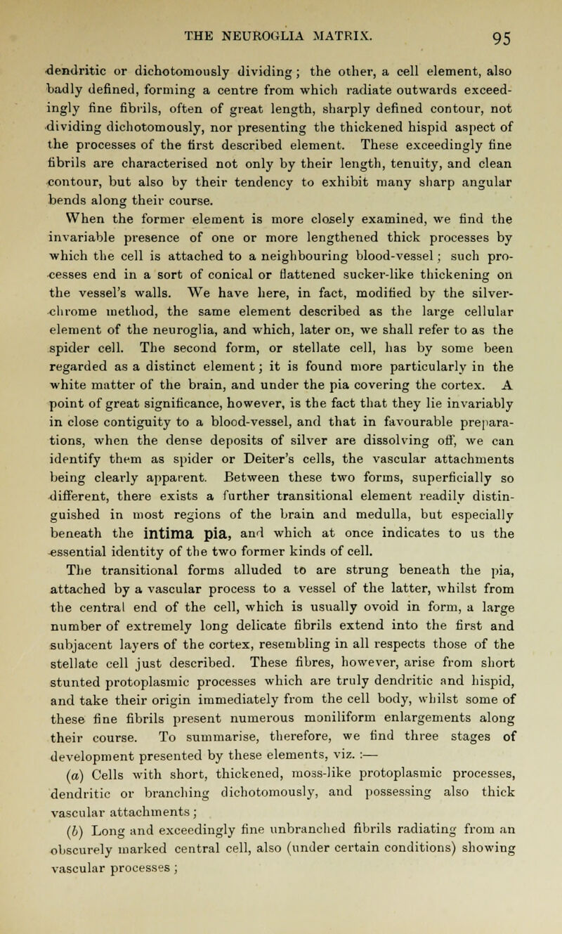 dendritic or dichotoniously dividing; the other, a cell element, also badly denned, forming a centre from which radiate outwards exceed- ingly fine fibrils, often of great length, sharply defined contour, not dividing dichotomously, nor presenting the thickened hispid aspect of the processes of the first described element. These exceedingly fine fibrils are characterised not only by their length, tenuity, and clean contour, but also by their tendency to exhibit many sharp angular bends along their course. When the former element is more closely examined, we find the invariable presence of one or more lengthened thick processes by which the cell is attached to a neighbouring blood-vessel; such pro- cesses end in a sort of conical or flattened sucker-like thickening on the vessel's walls. We have here, in fact, modified by the silver- chrome method, the same element described as the large cellular element of the neuroglia, and which, later on, we shall refer to as the spider cell. The second form, or stellate cell, has by some been regarded as a distinct element; it is found more particularly in the white matter of the brain, and under the pia covering the cortex. A point of great significance, however, is the fact that they lie invariably in close contiguity to a blood-vessel, and that in favourable prepara- tions, when the dense deposits of silver are dissolving off, we can identify them as spider or Deiter's cells, the vascular attachments being clearly apparent. Between these two forms, superficially so different, there exists a further transitional element readily distin- guished in most regions of the brain and medulla, but especially beneath the intima pia, and which at once indicates to us the -essential identity of the two former kinds of cell. The transitional forms alluded to are strung beneath the pia, attached by a vascular process to a vessel of the latter, whilst from the central end of the cell, which is usually ovoid in form, a large number of extremely long delicate fibrils extend into the first and subjacent layers of the cortex, resembling in all respects those of the stellate cell just described. These fibres, however, arise from short stunted protoplasmic processes which are truly dendritic and hispid, and take their origin immediately from the cell body, whilst some of these fine fibrils present numerous moniliform enlargements along their course. To summarise, therefore, we find three stages of development presented by these elements, viz. :— (a) Cells with short, thickened, moss-like protoplasmic processes, dendritic or branching dichotomously, and possessing also thick vascular attachments; (b) Long and exceedingly fine unbranched fibrils radiating from an obscurely marked central cell, also (under certain conditions) showing vascular processes ;