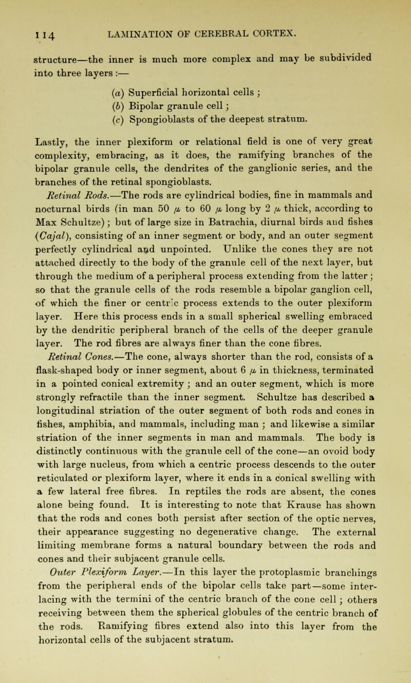 structure—the inner is much more complex and may be subdivided into three layers :— (a) Superficial horizontal cells ; (b) Bipolar granule cell; (c) Spongioblasts of the deepest stratum. Lastly, the inner plexiform or relational field is one of very great complexity, embracing, as it does, the ramifying branches of the bipolar granule cells, the dendrites of the ganglionic series, and the branches of the retinal spongioblasts. Retinal Rods.—The rods are cylindrical bodies, fine in mammals and nocturnal birds (in man 50 /* to 60 /i long by 2 [i thick, according to Max Schultze); but of large size in Batrachia, diurnal birds and fishes (Cajal), consisting of an inner segment or body, and an outer segment perfectly cylindrical and unpointed. Unlike the cones they are not attached directly to the body of the granule cell of the next layer, but through the medium of a peripheral process extending from the latter ; so that the granule cells of the rods resemble a bipolar ganglion cell, of which the finer or centr'c process extends to the outer plexiform layer. Here this process ends in a small spherical swelling embraced by the dendritic peripheral branch of the cells of the deeper granule layer. The rod fibres are always finer than the cone fibres. Retinal Cones.—The cone, always shorter than the rod, consists of a flask-shaped body or inner segment, about 6 p in thickness, terminated in a pointed conical extremity ; and an outer segment, which is more strongly refractile than the inner segment. Schultze has described a longitudinal striation of the outer segment of both rods and cones in fishes, amphibia, and mammals, including man ; and likewise a similar striation of the inner segments in man and mammals. The body is distinctly continuous with the granule cell of the cone—an ovoid body with large nucleus, from which a centric process descends to the outer reticulated or plexiform layer, where it ends in a conical swelling with a few lateral free fibres. In reptiles the rods are absent, the cones alone being found. It is interesting to note that Krause has shown that the rods and cones both persist after section of the optic nerves, their appearance suggesting no degenerative change. The external limiting membrane forms a natural boundary between the rods and cones and their subjacent granule cells. Outer Plexiform Layer.—In this layer the protoplasmic branchings from the peripheral ends of the bipolar cells take part—some inter- lacing with the termini of the centric branch of the cone cell ; others receiving between them the spherical globules of the centric branch of the rods. Ramifying fibres extend also into this layer from the horizontal cells of the subjacent stratum.