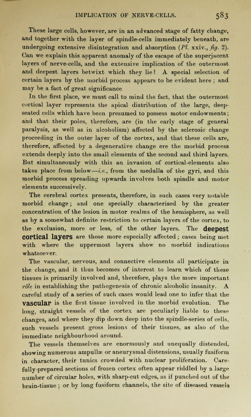 These large cells, however, are in an advanced stage of fatty change, and together with the layer of spindle-cells immediately beneath, are undergoing extensive disintegration and absorption {PI. xxiv., fig. 2). Can we explain this apparent anomaly of the escape of the superjacent layers of nerve-cells, and the extensive implication of the outermost and deepest layers betwixt which they lie? A special selection of certain layers by the morbid process appears to be evident here ; and may be a fact of great significance In the first place, we must call to mind the fact, that the outermost cortical layer represents the apical distribution of the large, deep- seated cells which have been presumed to possess motor endowments; and that their poles, therefore, are (in the early stage of general paralysis, as well as in alcoholism) affected by the sclerosic change proceeding in the outer layer of the cortex, and that these cells are, therefore, affected by a degenerative change ere the morbid process extends deeply into the small elements of the second and third layers. But simultaneously with this an invasion of cortical-elements also takes place from below—-i.e., from the medulla of the gyri, and this morbid process spreading upwards involves both spindle and motor elements successively. The cerebral cortex presents, therefore, in such cases very notable morbid change; and one specially characterised by the greater concentration of the lesion in motor realms of the hemisphere, as well as by a somewhat definite restriction to certain layers of the cortex, to the exclusion, more or less, of the other layers. The deepest Cortical layePS are those more especially affected; cases being met with where the uppermost layers show no morbid indications whatsoever. The vascular, nervous, and connective elements all participate in the change, and it thus becomes of interest to learn which of these tissues is primarily involved and, therefore, plays the more important role in establishing the pathogenesis of chronic alcoholic insanity. A careful study of a series of such cases would lead one to infer that the Vascular is the first tissue involved in the morbid evolution. The long, straight vessels of the cortex are peculiarly liable to these changes, and where they dip down deep into the spindle-series of cells, such vessels present gross lesions of their tissues, as also of the immediate neighbourhood around. The vessels themselves are enormously and unequally distended, showing numerous ampulla; or aneurysmal distensions, usually fusiform in character, their tunics crowded with nuclear proliferation. Care- fully-prepared sections of frozen cortex often appear riddled by a large number of circular holes, with sharp-cut edges, as if punched out of the brain-tissue ; or by long fusiform channels, the site of diseased vessels