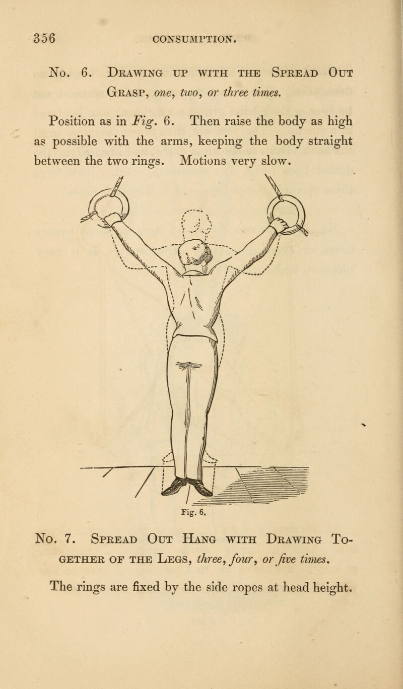 No. 6. Drawing up with the Spread Out Grasp, one, two, or three times. Position as in Fig. 6. Then raise the body as high as possible with the arms, keeping the body straight between the two rings. Motions very slow. No. 7. Spread Out Hang with Drawing To- gether of the Legs, three, four, or Jive times. The rings are fixed by the side ropes at head height.
