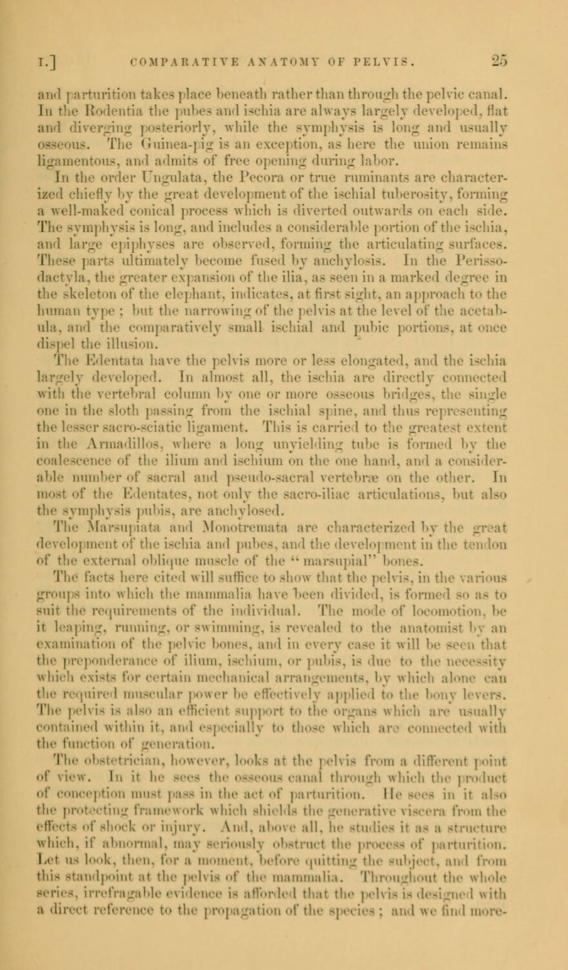 and ] arturition takes place beneath rather than through the pelvic canal. In the Rodentia the pubea and ischia are always largely develoj edj flat and diverging posteriorly, while the symphysis is long and usually The Guinea-pig is an exception, as here the union remains ligamentous, and admits of free opening during labor. In the order Ungulata, the Pecora or true ruminants are character- ized chiefly by the great development of the ischial tuberosity, forming a well-maked conical process which is diverted outwards on each s The symphysis i- long, and includes a considerable portion of the ischia, and large epiphyses are observed, forming the articulating Burfj These parts ultimately become fused by anchylosis. In the Perisso- dactyla, the greater ex] ansion of the ilia a- n en in a marked degree in the skeleton of the elephant, indicates, at first sight, an approach to the human type : hut the narrowing of the pelvis at the level of the acetab- ula, and the comparatively small ischial and pubic portions, at once dispel the illusion. The Edentata have the pelvis more or less elongated, and the ischia sly developed. In almost all, the ischia are directly conn* with the vertebral column by one or more osseous bridges, the single one in the sloth passing from the ischial spine, and thus re] resenting the lesser sacro-sciatic ligament. This is carried to the gr stent in the Armadillos, where a long unyielding tube is formed by the coalescence of the ilium and ischium on the one hand, and a consider- able Dumber of sacral and pseudo-sacral vertebras on the other. In most of the Edentates, not only the sacro-iliac articulations, hut also the symphysis pubis, are anchylosed. The Marsupiata and Monotremata are characterized by the great development of the ischia and pubes, and the develoj ment in the tendon of the external oblique muscle of the marsupial bones. The facts here cited will suffice to show that the pelvis, in the various groups into which the mammalia have been divided, is formed so a- to suit the requirements of the individual. The modi1 of locomotion, he it leaping, running, or swimming, is revealed to the anatomist by an examination of the pelvic hones, ami in every case it will he seen that the preponderance of ilium, ischium, or pubis, is due t<> the neces which exists for certain mechanical arrangements, by which alone can the required muscular power he effectively applied to the bony levers. The pelvis is also an efficient support to the organs which are usually contained within it. and especially to those which are connected with the function <>f generation. The obstetrician, however, looks at the pelvis from a different | of view. In it he sees the osseous canal through which the product of conception musl pa-- in the act of parturition. Mr sees in it also the protecting framework which shields the generative viscera from the effects of shock or injury. And. above all. he studies it a- a structure which, if abnormal, may Beriously obstruct the process of parturition. Let u- look, then. for a moment, before quitting the Bubjeet, and from this standpoint at the pelvis of the mammalia. Throughout the whole series, irrefragable evidence is afforded that the pelvis is designed with a direct reference to the propagation of the and we find more-