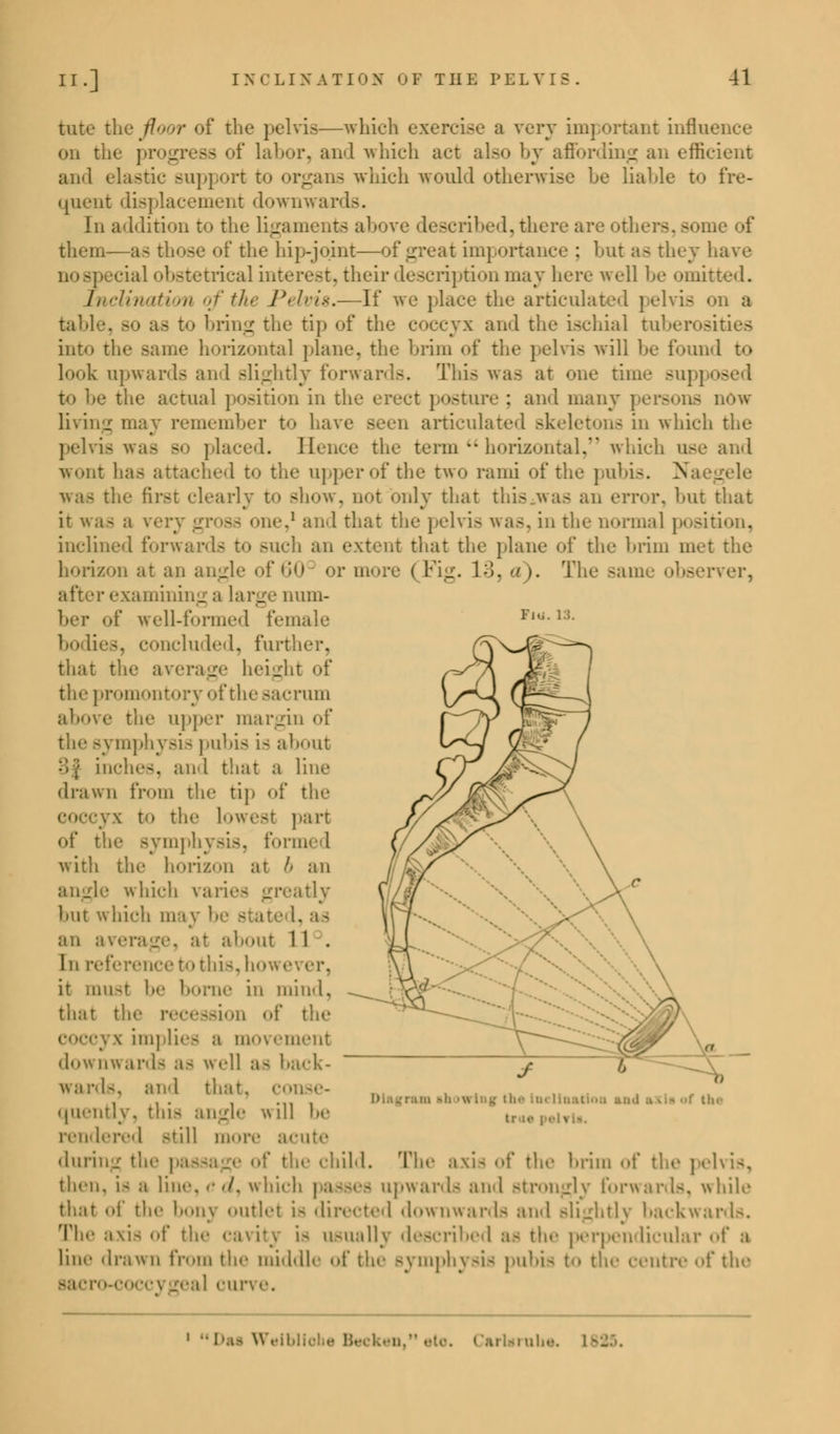 fcute the floor of the pelvis—which exercise a very important influence on the progress of labor, and which act also by affording an efficient and elastic support to organs which would otherwise be liable to fre- quent displacement downwards. In addition to the ligaments above described, there are others, some of them—as those of the hip-joint—of great importance : but as they have no special obstetrical interest, their description may here well be omitted. Inclination of the Pelvis.—If we place the articulated pelvis on a table, so as to bring the tip of the coccyx ami the ischial tuberosities into the same horizontal plane, the brim of the pelvis will be found to look upwards and slightly forwards. This was at one time .-up; • the actual position in the erect posture ; and many persons nOw living may remember to have seen articulated skeleton- in which the pelvis was so placed. Hence the term  horizontal, which use and wont has attached to the upper of the two rami of the pubis. Na was the first clearly to show, not only that this.was an error, hut that it was a i -1 and that the pelvis was, in the normal position, inclined forwards to such an extent that the plane of the brim met the hori/on at an angle of 60c or more ( Fig. 1;!. a ). The same observer, after examining a large num- ber of well-formed female Fw. IS. bodies, concluded, further, that the average height of the promontory of the sacrum above the upper margin of the symphysis pubis is about 3j inches, and that a line drawn from the tip of the \ to the lowest part of the Bymphysis, formed with the horizon at b an angle which varies greatly but which may he state 1. as an average, at about 11 . In reference to this, how< it must ho borne in mind, that the recessiOD of the \ implies a movement do* awards as well as back- wards, and that, conse- quently, this angle will be rendered -till more & during the pat the child. The axis of the brim of the pelvis, then, i< a line, cd, which passes upwards and Btrongly forwards, while that 1' tin- bony outlet is directed downwards and Blightly backwards. The axis of the cavitj is usually described :t- the perpendicular of a line drawn from the middle of the symphysis pubis t the centre of the sacro J curve. igram showing the inclination and ax Irif | 1 Dai Weibliol -• Beckon, irlaruhe.