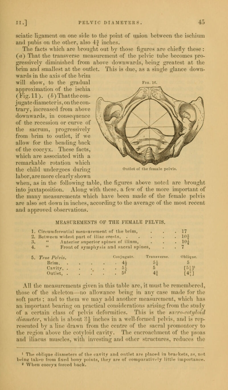 Fig.16. sciatic ligament on one side to the point of union between the ischium and pubis on the other, also 4} inches. The facts which arc brought out by those figures are chiefly tb ('/) That the transverse measurement of the pelvic tube becomes pro- gressively diminished from above downwards. 1 >ciiill* greatest at the brim and smallest at the outlet. This is due, as a single glance down- wards in the axis of the brim will show, to the gradual approximation of the ischia (Fig. 11 ). (6) That the con- jugate diameter is, on the con- trary, increased from above downwards, in consequence of the recession or curve of the sacrum, progressively from brim to outlet, if we allow for the bending hack of the coccyx. These facts, which are associated with a remarkable rotation which the chiM undergoes during labor,aremore clearlyshown when, as in the following table, the figures above note I are brought into juxtaposition. Along with these, a few of the more important <>f the many measurements which have been made of the female pelvis arc also Bet down in inches, according to the average of the most recent and approved observations. Outlet of the female MEASUREMENTS OF THE FEMALE PELVIS. 1. Circumferential measurement of the brim, '1. Between widest part of iliac o rest a, \\.  Anterior superior spines of ilium, 4.  Fronl <>i Bymphyttid and sacral spines, Brim, ('ivit \\ Outlet, Conjugate. . 5* 17 • io| • •, . 7 rse Oblique. A I [51]' [4}] All the measurements given in this table arc it must he remembere 1. of the skeleton no allowance being in any case made for the soft parts; and to them we may add another measurement, which has an important bearing n practical considerations arising from the study of a certain class of pelvis deformities. This U the i lyloid diameter^ which is about :'<\ inches in a well-formed pelvis, and is rep- resented by a lint' drawn from the centre <»f the sacral promontory t<> the region above the cotyloid cavity. The encroachment of the | and iliacus musch•-. with investing and other structures, reduces the 1 Tli.- oblique diameterj <>: the oa* lt,y and outlet are plaoed in bi . not beinp t.iK-M' from fixed bonj point*, thej are of ooroparatlvi»1j little linporl ■ \\ ii.-ii eoooyi forced baok.