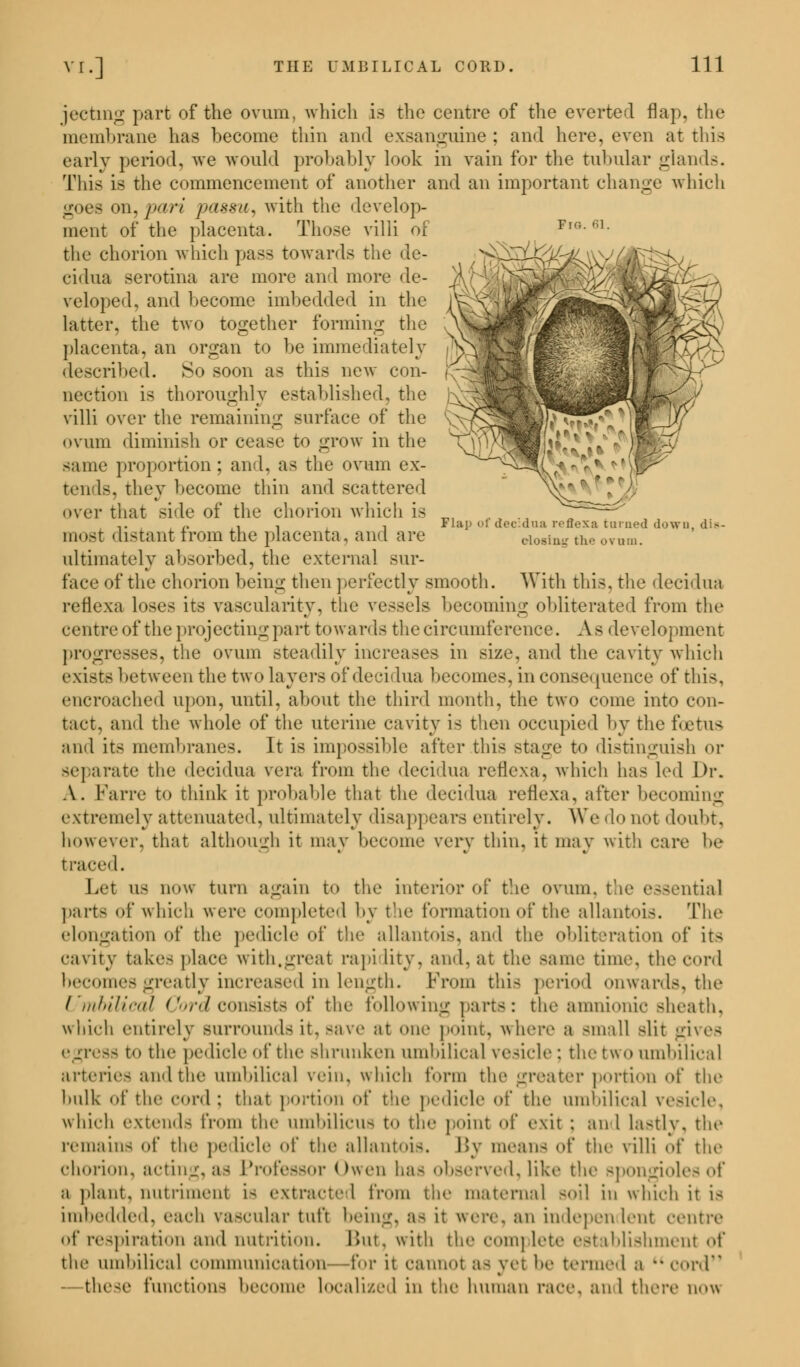 Pie. 61. ^^T4 Flap of decidua reflexa turned down, dis- elosim? the ovum. jectmg part of the ovum, which is the centre of the everted flap, the membrane has become thin and exsanguine : and here, even at this early period, Ave would probably look in vain for the tubular glands. This is the commencement of another and an important change which goes on, pari passu, with the develop- ment of the placenta. Those villi of the chorion which pass towards the de- cidua serotina are more and more de- veloped, and become imbedded in the latter, the two together forming the placenta, an organ to be immediately described. So soon as this new con- nection is thoroughly established, the villi over the remaining surface of the ovum diminish or cease to grow in the same proportion; and. as the ovum ex- tends, they become thin and scattered over that side of the chorion which is most distant from the placenta, and are ultimately absorbed, the external sur- face of the chorion being then perfectly smooth. With this, the decidua reflexa loses its vascularity, the vessels becoming obliterated from the centre of the projecting part towards the circumference. As development progresses, the ovum steadily increases in size, and the cavity which exists between the two layers of decidua becomes, in consequence of this, encroached upon, until, about the third month, the two come into con- tact, and the whole of the uterine cavity i< then occupied by the foetus and its membranes. It is impossible after this stage to distinguish <>r separate the decidua vera from the decidua reflexa, which has led Dr. A. Farre to think it probable that the decidua reflexa, after becoming extremely attenuated, ultimately disappears entirely. We do not doubt, however, that although it may become very thin, it may with care be traced. Let us now turn again to the interior of the ovum, t'.ie essential parts of which were completed by the formation of the allantois. The elongation of the pedicle of the allantois, and the obliteration of its cavity take- place with.great rapi lity. and, at the same time, the cord becomes greatly increased in length. From this period onwards, the Umbilical Cord consists of the following parts: the amnionic sheath, which entirely surrounds it, save at one point, where a small slit gives egress bo the pedicle of the shrunken umbilical ve-iclc : the two umbilical arteries and the umbilical vein, which form the greater portion of the bulk of the cord: that portion of the pedicle <>f the umbilical vesicle, which extends from the umbilicus to the point of exit : and lastlv, the remain- of the pedicle of the allantoic By mean- of the villi of the chorion, acting,as Professor Owen ha- observed,like the spongiolesof a plant, nut riinent i< extracted from the maternal soil in which it i- Lmbedded, each vascular tuft being, a- it were, an Independent centre of respiration and nutrition. Hut. with the com] lete esl iblishment of the umbilical communication—for it cannot a- yet be termed a M cord —these Junctions become localized in the human race, an 1 there now