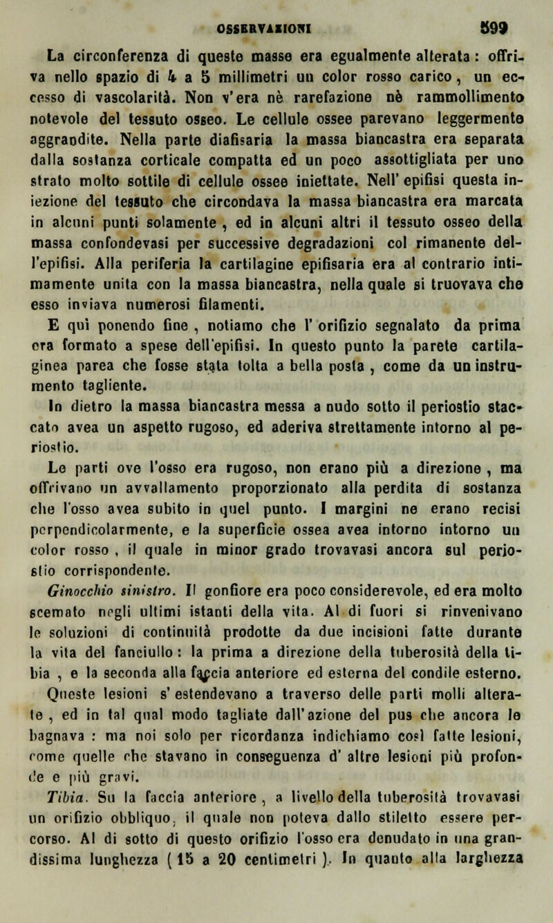 ossBBTAiioni 899 La circonferenza di queste masse era egualmente alterata : offri. va nello spazio di k a 5 millimetri uu color rosso carico, un ec- cesso di vascolarità. Non v'era né rarefazione nò rammollimento notevole del tessuto osseo. Le cellule ossee parevano leggermente aggrandite. Nella parte diafisaria la massa biancastra era separata dalla sostanza corticale compatta ed un poco assottigliata per uno strato molto sottile di cellule ossee iniettate. Neil' epifisi questa in- iezione del tessuto che circondava la massa biancastra era marcata in alcuni punti solamente , ed in alcuni altri il tessuto osseo della massa confondevasi per successive degradazioni col rimanente del- l'epifisi. Alla periferia la cartilagine epifilaria era al contrario inti- mamente unita con la massa biancastra, nella quale si truovava che esso inviava numerosi filamenti. E qui ponendo fine , notiamo che 1' orifizio segnalato da prima ora formato a spese dell'epifisi. In questo punto la parete cartila- ginea parea che fosse stata tolta a bella posta , come da un instru- mento tagliente. In dietro la massa biancastra messa a nudo sotto il periostio stac- cato avea un aspetto rugoso, ed aderiva strettamente intorno al pe- riostio. Le parti ove l'osso era rugoso, non erano più a direzione , ma offrivano un avvallamento proporzionato alla perdita di sostanza che l'osso avea subito in quel punto. I margini ne erano recisi perpendicolarmente, e la superficie ossea avea intorno intorno un color rosso , il quale in minor grado trovavasi ancora sul perio- stio corrispondente. Ginocchio sinistro. Il gonfiore era poco considerevole, ed era molto scemato negli ultimi istanti della vita. Al di fuori si rinvenivano le soluzioni di continuila prodotte da due incisioni fatte durante la vita del fanciullo : la prima a direzione della tuberosità della ti- bia , e la seconda alla faccia anteriore ed esterna del condile esterno. Queste lesioni s' estendevano a traverso delle parti molli altera- te , ed in tal qual modo tagliate dall'azione del pus che ancora le bagnava : ma noi solo per ricordanza indichiamo co«l fatte lesioni, rome quelle che stavano in conseguenza d' altre lesioni più profon- de e più gravi. Tibia. Su la faccia anteriore, a livello della tuberosità trovavasi un orifizio obbliquo. il quale non poteva dallo stiletto essere per- corso. Al di sotto di questo orifizio l'osso era denudato in una gran- dissima lunghezza ( 15 a 20 centimetri). In quauto alla larghezza