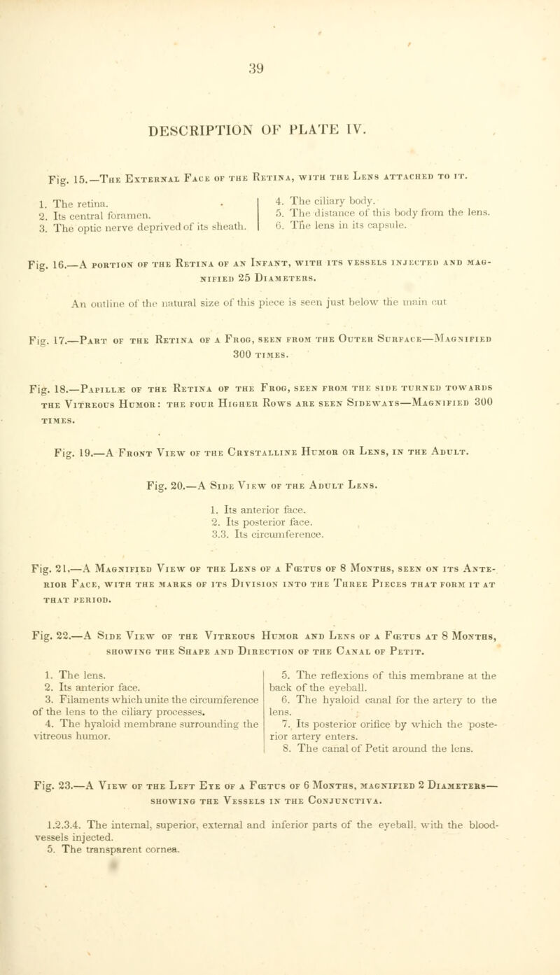 39 DESCRIPTION OF PLATE IV. Fi<*. 15.—The Extehnal Face of the Retina, with the Lens attached TO it. 1. The retina. 2. Its central foramen. 3. The optic nerve deprived of its sheath. 4. The ciliary body. .'). The distance of this bodyfrom the lens. 6. Trie lens in its capsule. pjer, 16. A portion of the Retina of an Infant, with its vessels injected and mag- nified 25 DlAMETERS. \n outline of the natural size of this piece is seen just below the main cul Fig. 17.—Part of the Retina of a Fhog, seen from the Outer Surface—Magnified 300 TIMES. Fig. 18.—Papillje of the Retina of the Frog, seen from the side turned towards the Vitreous Humor: the four Higher Rows are seen Sideways—Magnified 300 times. Fig. 19.—A Front View of the Crystalline Humor or Lens, in the Adult. Fig. 20.—A Side View of the Adult Lens. 1. Its anterior face. 2. Its posterior face. 3.3. Its circumference. Fig. 21.—A Magnified View of the Lens of a Fostus of 8 Months, seen on its Ante- rior Face, with the marks of its Division into the Three Pieces that form it at that period. Fig. 22.—A Side View of the Vitreous Humor and Lens of a Fostus at 8 Months, showing the Shape and Direction of the Canal of Petit. 1. The lens. 2. Its anterior face. 3. Filaments which unite the circumference of the lens to the ciliary processes. 4. The hyaloid membrane surrounding the vitreous humor. 5. The reflexions of this membrane at the back of the eyeball. 6. The hyaloid canal for the artery to the lens. 7. Its posterior orifice by which the poste- rior artery enters. 8. The canal of Petit around the lens. Fig. 23.—A View of the Left Eye of a Foztus of 6 Months, magnified 2 Diameters— showing the Vessels in the Conjunctiva. 1.2.3.4. The internal, superior, external and inferior parts of the eyeball, with the blood- vessels injected.