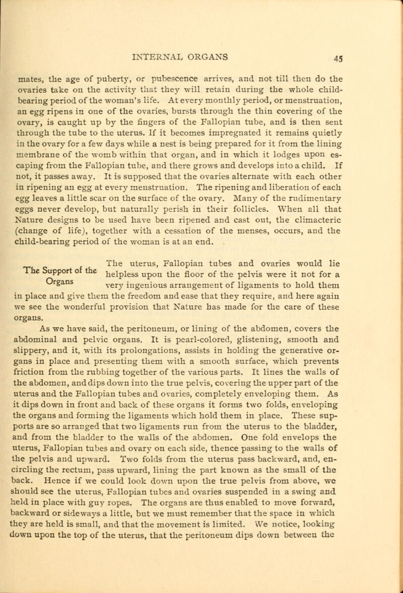 mates, the age of puberty, or pubescence arrives, and not till then do the ovaries take on the activity that they will retain during the whole child- bearing period of the woman's life. At every monthly period, or menstruation, an egg ripens in one of the ovaries, bursts through the thin covering of the ovary, is caught up by the fingers of the Fallopian tube, and is then sent through the tube to the uterus. If it becomes impregnated it remains quietly in the ovary for a few days while a nest is being prepared for it from the lining membrane of the womb within that organ, and in which it lodges upon es- caping from the Fallopian tube, and there grows and develops into a child. If not, it passes away. It is supposed that the ovaries alternate with each other in ripening an egg at every menstruation. The ripening and liberation of each egg leaves a little scar on the surface of the ovary. Many of the rudimentary eggs never develop, but naturally perish in their follicles. When all that Nature designs to be used have been ripened and cast out, the climacteric (change of life), together with a cessation of the menses, occurs, and the child-bearing period of the woman is at an end. The uterus, Fallopian tubes and ovaries would lie The Support of the i^glpless upon the floor of the pelvis were it not for a Urgans very ingenious arrangement of ligaments to hold them in place and give them the freedom and ease that they require, and here again we see the wonderful provision that Nature has made for the care of these organs. As we have said, the peritoneum, or lining of the abdomen, covers the abdominal and pelvic organs. It is pearl-colored, glistening, smooth and slippery, and it, with its prolongations, assists in holding the generative or- gans in place and presenting them with a smooth surface, which prevents friction from the rubbing together of the various parts. It lines the walls of the abdomen, and dips down into the true pelvis, covering the upper part of the uterus and the Fallopian tubes and ovaries, completely enveloping them. As it dips down in front and back of these organs it forms two folds, enveloping the organs and forming the ligaments which hold them in place. These sup- ports are so arranged that two ligaments run from the uterus to the bladder, and from the bladder to the walls of the abdomen. One fold envelops the uterus, Fallopian tubes and ovary on each side, thence passing to the walls of the pelvis and upward. Two folds from the uterus pass backward, and, en- circling the rectum, pass upward, lining the part known as the small of the back. Hence if we could look down upon the true pelvis from above, we should see the uterus, Fallopian tubes and ovaries suspended in a swing and held in place with guy ropes. The organs are thus enabled to move forward, backward or sideways a little, but we must remember that the space in which they are held is small, and that the movement is limited. We notice, looking down upon the top of the uterus, that the peritoneum dips down between the