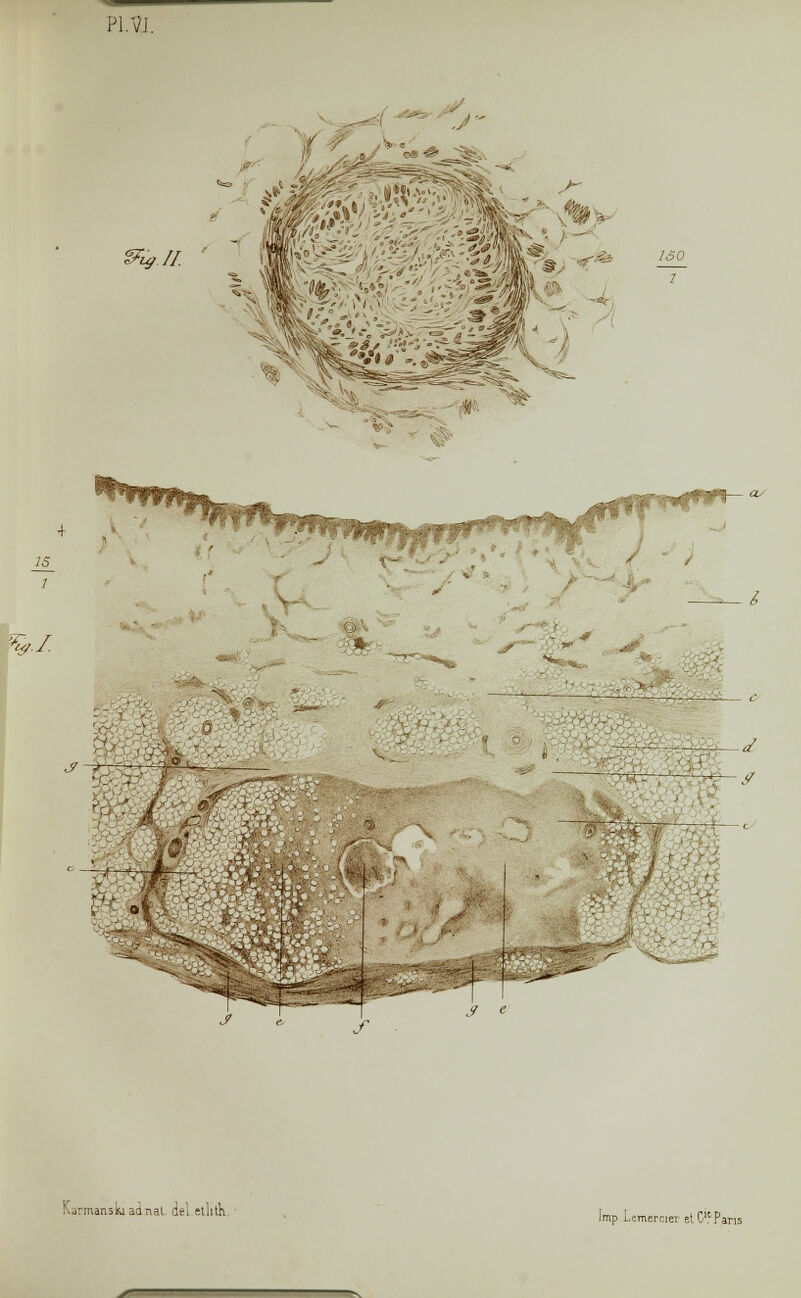 PI. VI. %// i %!■ %. ^. V £& ,''yï#-S S e H KjrmanskiadnaL del etlith imp Lemercjer et ClcPa