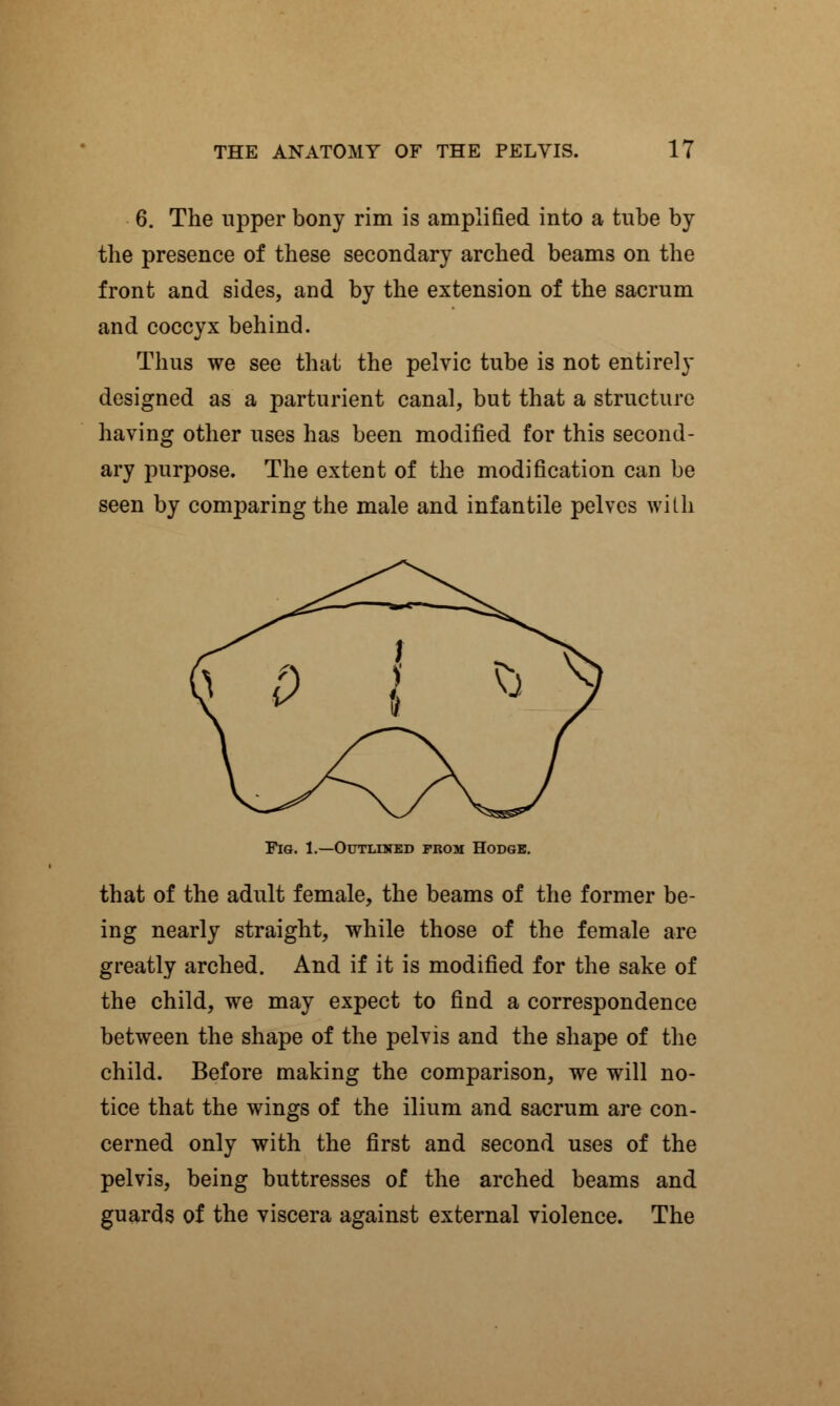 6. The upper bony rim is amplified into a tube by the presence of these secondary arched beams on the front and sides, and by the extension of the sacrum and coccyx behind. Thus we see that the pelvic tube is not entirely designed as a parturient canal, but that a structure having other uses has been modified for this second- ary purpose. The extent of the modification can be seen by comparing the male and infantile pelves with Fig. 1.—Outlined from Hodge. that of the adult female, the beams of the former be- ing nearly straight, while those of the female are greatly arched. And if it is modified for the sake of the child, we may expect to find a correspondence between the shape of the pelvis and the shape of the child. Before making the comparison, we will no- tice that the wings of the ilium and sacrum are con- cerned only with the first and second uses of the pelvis, being buttresses of the arched beams and guards of the viscera against external violence. The