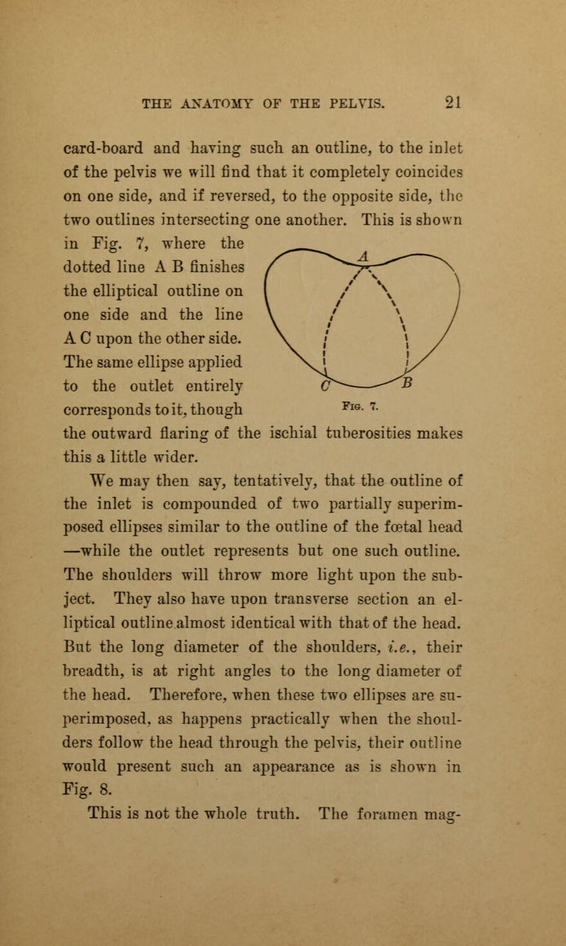 card-board and having such an outline, to the inlet of the pelvis we will find that it completely coincides on one side, and if reversed, to the opposite side, the two outlines intersecting one another. This is shown in Fig. 7, where the dotted line A B finishes the elliptical outline on one side and the line A C upon the other side. The same ellipse applied to the outlet entirely corresponds to it, though the outward flaring of the ischial tuberosities makes this a little wider. We may then say, tentatively, that the outline of the inlet is compounded of two partially superim- posed ellipses similar to the outline of the fcetal head —while the outlet represents but one such outline. The shoulders will throw more light upon the sub- ject. They also have upon transverse section an el- liptical outline almost identical with that of the head. But the long diameter of the shoulders, i.e., their breadth, is at right angles to the long diameter of the head. Therefore, when these two ellipses are su- perimposed, as happens practically when the shoul- ders follow the head through the pelvis, their outline would present such an appearance as is shown in Fig. 8. This is not the whole truth. The foramen mag-