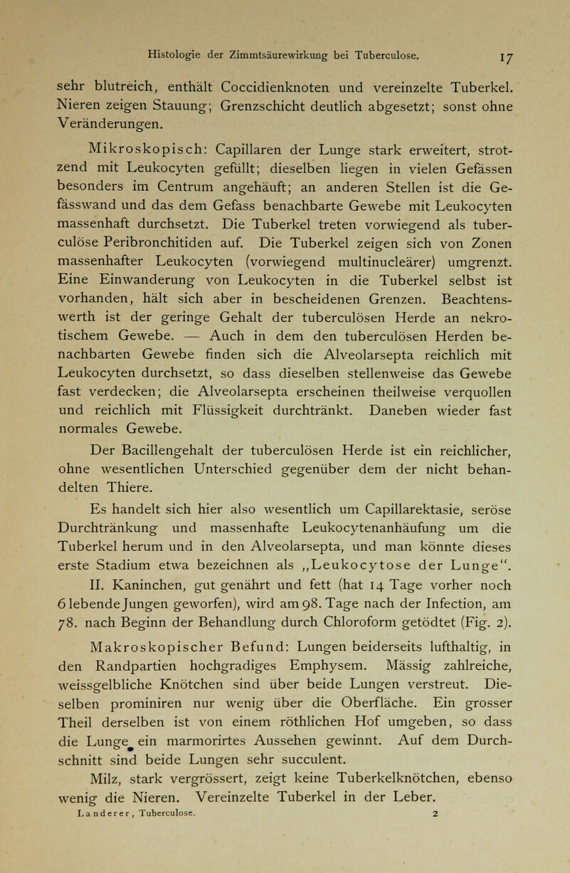 sehr blutreich, enthält Coccidienknoten und vereinzelte Tuberkel. Nieren zeigen Stauung; Grenzschicht deutlich abgesetzt; sonst ohne Veränderungen. Mikroskopisch: Capillaren der Lunge stark erweitert, strot- zend mit Leukocyten gefüllt; dieselben liegen in vielen Gefässen besonders im Centrum angehäuft; an anderen Stellen ist die Ge- fässwand und das dem Gefass benachbarte Gewebe mit Leukocyten massenhaft durchsetzt. Die Tuberkel treten vorwiegend als tuber- culose Peribronchitiden auf. Die Tuberkel zeigen sich von Zonen massenhafter Leukocyten (vorwiegend multinucleärer) umgrenzt. Eine Einwanderung von Leukocyten in die Tuberkel selbst ist vorhanden, hält sich aber in bescheidenen Grenzen. Beachtens- werth ist der geringe Gehalt der tuberculösen Herde an nekro- tischem Gewebe. — Auch in dem den tuberculösen Herden be- nachbarten Gewebe finden sich die Alveolarsepta reichlich mit Leukocyten durchsetzt, so dass dieselben stellenweise das Gewebe fast verdecken; die Alveolarsepta erscheinen theilweise verquollen und reichlich mit Flüssigkeit durchtränkt. Daneben wieder fast normales Gewebe. Der Bacillengehalt der tuberculösen Herde ist ein reichlicher, ohne wesentlichen Unterschied gegenüber dem der nicht behan- delten Thiere. Es handelt sich hier also wesentlich um Capillarektasie, seröse Durchtränkung und massenhafte Leukocytenanhäufung um die Tuberkel herum und in den Alveolarsepta, und man könnte dieses erste Stadium etwa bezeichnen als „Leukocytose der Lunge. II. Kaninchen, gut genährt und fett (hat 14 Tage vorher noch 6 lebende Jungen geworfen), wird am 98. Tage nach der Infection, am 78. nach Beginn der Behandlung durch Chloroform getödtet (Fig. 2). Makroskopischer Befund: Lungen beiderseits lufthaltig, in den Randpartien hochgradiges Emphysem. Massig zahlreiche, weissgelbliche Knötchen sind über beide Lungen verstreut. Die- selben prominiren nur wenig über die Oberfläche. Ein grosser Theil derselben ist von einem röthlichen Hof umgeben, so dass die Lunge ein marmorirtes Aussehen gewinnt. Auf dem Durch- schnitt sind beide Lungen sehr succulent. Milz, stark vergrössert, zeigt keine Tuberkelknötchen, ebenso wenig die Nieren. Vereinzelte Tuberkel in der Leber.