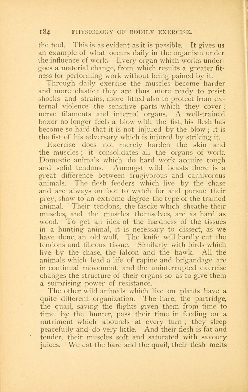 the tool. This is as evident as it is possible. It gives us an example of what occurs daily in the organism under the influence of work. Every organ which works under- goes a material change, from which results a greater fit- ness for performing work without being pained by it. Through daily exercise the muscles become harder and more elastic: they are thus more ready to resist shocks and strains, more fitted also to protect from ex- ternal violence the sensitive parts which they cover : nerve filaments and internal organs. A well-trained boxer no longer feels a blow with the fist, his flesh has become so hard that it is not injured by the blow; it is the fist of his adversary which is injured by striking it. Exercise does not merely harden the skin and the muscles ; it consolidates all the organs of work. Domestic animals which do hard work acquire tough and solid tendons. Amongst wild beasts there is a great difference between frugivorous and carnivorous animals. The flesh feeders which live by the chase and are always on foot to watch for and pursue their prey, show to an extreme degree the type of the trained animal. Their tendons, the fasciae which sheathe their muscles, and the muscles themselves, are as hard as wood. To get an idea of the hardness of the tissues in a hunting animal, it is necessary to dissect, as we have done, an old wolf. The knife will hardly cut the tendons and fibrous tissue. Similarly with birds which live by the chase, the falcon and the hawk. All the animals which lead a life of rapine and brigandage are in continual movement, and the uninterrupted exercise changes the structure of their organs so as to give them a surprising power of resistance. The other wild animals which live on plants have a quite different organization. The hare, the partridge, the quail, saving the flights given them from time to time by the hunter, pass their time in feeding on a nutriment which abounds at every turn ; they sleep peacefully and do very little. And their flesh is fat and tender, their muscles soft and saturated with savoury juices. We eat the hare and the quail, their flesh melts