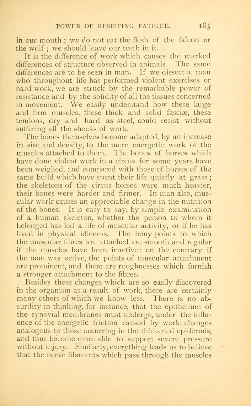 in our mouth ; we do not eat the flesh of the falcon or the wolf ; we should leave our teeth in it. It is the difference of work which causes the marked differences of structure observed in animals. The same differences are to be seen in man. If we dissect a man who throughout life has performed violent exercises or hard work, we are struck by the remarkable power of resistance and by the solidity of all the tissues concerned in movement. We easily understand how these large and firm muscles, these thick and solid fasciae, these tendons, dry and hard as steel, could resist without suffering all the shocks of work. The bones themselves become adapted, by an increase in size and density, to the more energetic work of the muscles attached to them. The bones of horses which have done violent work in a circus for some years have been weighed, and compared with those of horses of the same build which have spent their life quietly at grass ; the skeletons of the circus horses were much heavier, their bones were harder and firmer. In man also, mus- cular work'causes an appreciable change in the nutrition of the bones. It is easy to say, by simple examination of a human skeleton, whether the person to whom it belonged has led a life of muscular activity, or if he has lived in physical idleness. The bony points to which the muscular fibres are attached are smooth and regular if the muscles have been inactive : on the contrary if the man was active, the points of muscular attachment are prominent, and there are roughnesses which furnish a stronger attachment to the fibres. Besides these changes which are so easily discovered in the organism as a result of work, there are certainly many others of which we know less. There is no ab- surdity in thinking, for instance, that the epithelium of the synovial membranes must undergo, under the influ- ence of the energetic friction caused by work, changes analogous to those occurring in the thickened epidermis, and thus become more able to support severe pressure without injury. Similarly, everything leads us to believe that the nerve filaments which pass through the muscles