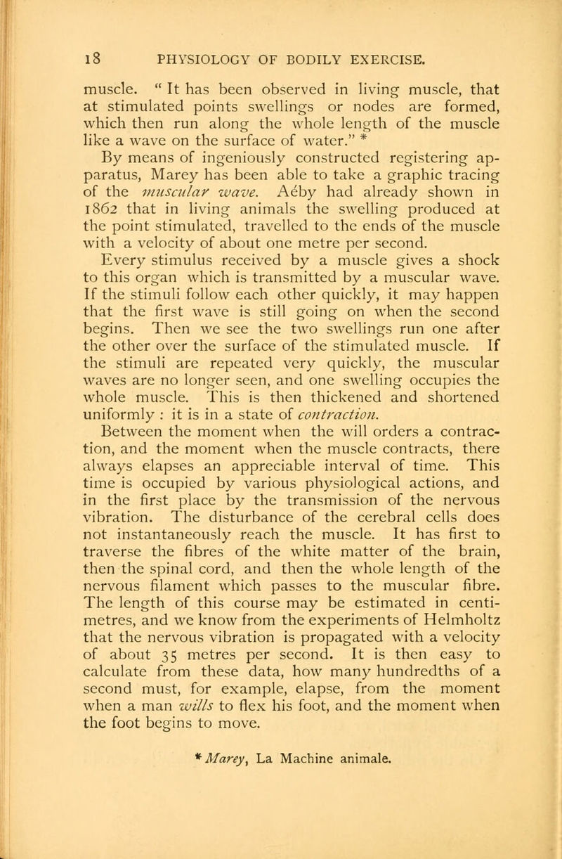 muscle.  It has been observed in living muscle, that at stimulated points swellings or nodes are formed, which then run along the whole length of the muscle like a wave on the surface of water. * By means of ingeniously constructed registering ap- paratus, Marey has been able to take a graphic tracing of the muscular wave. Aeby had already shown in 1862 that in living animals the swelling produced at the point stimulated, travelled to the ends of the muscle with a velocity of about one metre per second. Every stimulus received by a muscle gives a shock to this organ which is transmitted by a muscular wave. If the stimuli follow each other quickly, it may happen that the first wave is still going on when the second begins. Then we see the two swellings run one after the other over the surface of the stimulated muscle. If the stimuli are repeated very quickly, the muscular waves are no longer seen, and one swelling occupies the whole muscle. This is then thickened and shortened uniformly : it is in a state of contraction. Between the moment when the will orders a contrac- tion, and the moment when the muscle contracts, there always elapses an appreciable interval of time. This time is occupied by various physiological actions, and in the first place by the transmission of the nervous vibration. The disturbance of the cerebral cells does not instantaneously reach the muscle. It has first to traverse the fibres of the white matter of the brain, then the spinal cord, and then the whole length of the nervous filament which passes to the muscular fibre. The length of this course may be estimated in centi- metres, and we know from the experiments of Helmholtz that the nervous vibration is propagated with a velocity of about 35 metres per second. It is then easy to calculate from these data, how man)'- hundredths of a second must, for example, elapse, from the moment when a man wills to flex his foot, and the moment when the foot begins to move. * Marey, La Machine animale.