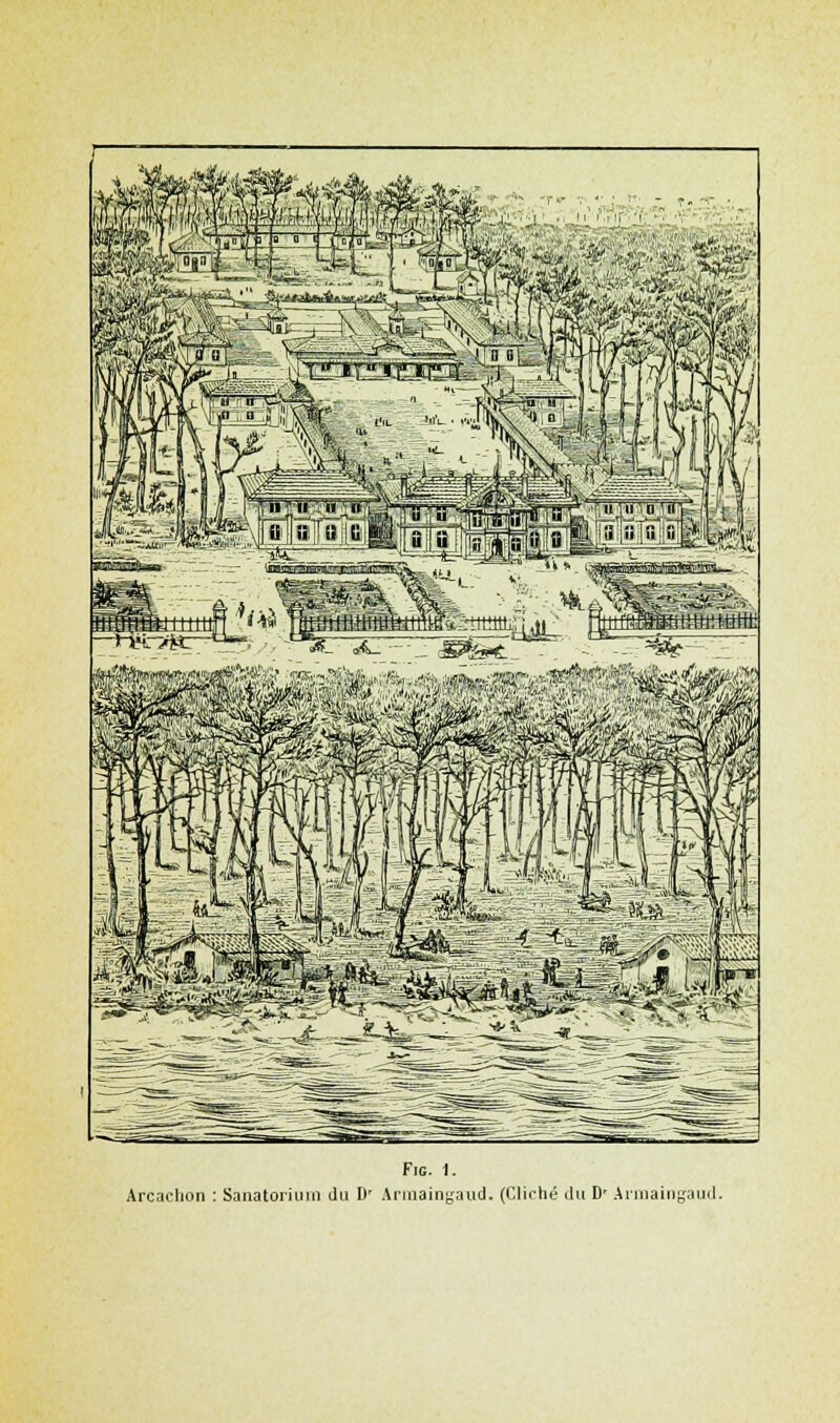 FlG. 1. Arcaclion : Sanatorium du II' Armaingaud. (Cliché du D' Armaingaud.