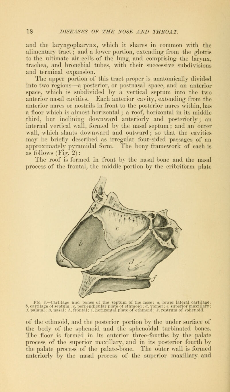 and the laryngopharynx, which it shares in common with the alimentary tract; and a lower portion, extending from the glottis to the ultimate air-cells of the lung, and comprising the larynx, trachea, and bronchial tubes, with their successive subdivisions and terminal expansion. The upper portion of this tract proper is anatomically divided into two regions—a posterior, or postnasal space, and an anterior space, which is subdivided by a vertical septum into the two anterior nasal cavities. Each anterior cavity, extending from the anterior nares or nostrils in front to the posterior nares within, has a floor which is almost horizontal; a roof, horizontal in its middle third, but inclining downward anteriorly and posteriorly; an internal vertical wall, formed by the nasal septum; and an outer wall, which slants downward and outward ; so that the cavities may be briefly described as irregular four-sided passages of an approximately pyramidal form. The bony framework of each is as follows (Fig. 2): The roof is formed in front by the nasal bone and the nasal process of the frontal, the middle portion by the cribriform plate Fig. 3.—Cartilasre and bones of the septum of the nose: a, lower lateral cartilage: b, cartilasre of septum : o, perpendicular plate of ethmoid; d, vomer: r, superior maxillary; /. palatal; g, nasal; h, frontal; i, horizontal plate of ethmoid : k, rostrum of sphenoid. of the ethmoid, and the posterior portion by the under surface of the body of the sphenoid and the sphenoidal turbinated bones. The floor is formed in its anterior three-fourths by the palate process of the superior maxillary, and in its posterior fourth by the palate process of the palate-bone. The outer Avail is formed anteriorly by the nasal process of the superior maxillary and