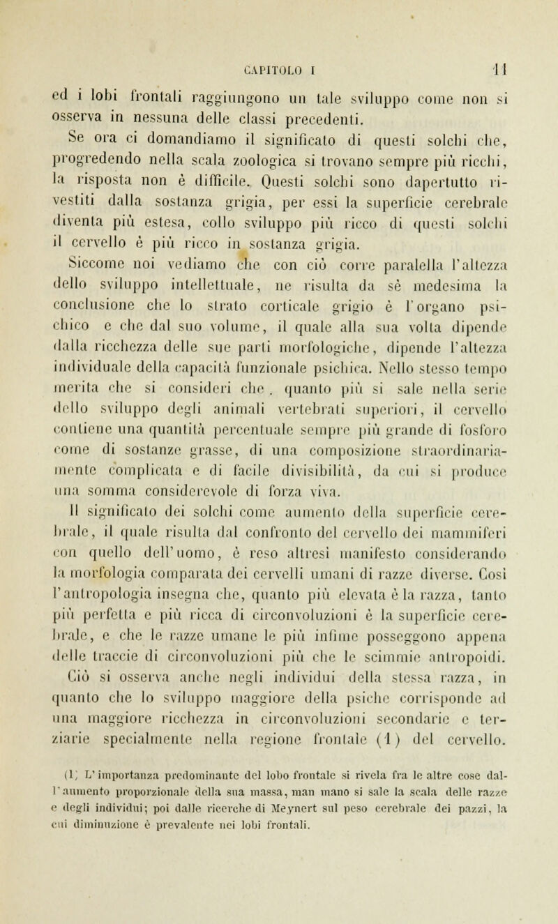 ed i lobi frontali raggiungono un tale sviluppo come non si osserva in nessuna delle classi precedenti. Se ora ci domandiamo il significato di quesli solchi che, progredendo nella scala zoologica si trovano sempre più ricchi, la risposta non è difficile. Questi solchi sono dapertutto ri- vestiti dalla sostanza grigia, per essi la superficie cerebrale diventa più estesa, collo sviluppo più ricco di questi solchi il cervello è più ricco in sostanza grigia. Siccome noi vediamo che con ciò corre paralella l'altezza dello sviluppo intellettuale, ne risulta da sé medesima la conclusione che lo strato corticale grigio è l'organo psi- chico e che dal suo volume, il quale alla sua volta dipende dalla ricchezza delle sue parti morfologiche, dipende l'altezza individuale della capacità funzionale psichica. Nello stesso tempo inclita che si consideri che , quanto più si sale nella serie dello sviluppo degli animali vertebrali superiori, il cervello contiene una quantità percentuale sempre più grande di fosforo come di sostanze grasse, di una composizione straordinaria- mente complicala e di facile divisibilità, da cui si produce una somma considerevole di forza viva. Il significato dei solchi come aumento della superficie cere- brale, il quale risulta dal confronto del cervello dei mammiferi eou quello dell'uomo, è reso altresì manifesto considerando la morfologia comparata dei cervelli umani di razze diverse. Così l'antropologia insegna che, quanto più elevala è la razza, tanto più perfetta e più ricca di circonvoluzioni è la superficie cere- brale, e che le razze umane le più inlime posseggono appena delle traccie di circonvoluzioni più che le scimmie antropoidi. Ciò si osserva anche negli individui della stessa razza, in quanto che lo sviluppo maggiore della psiche corrisponde ad una maggiore ricchezza in circonvoluzioni secondarie e ter- ziarie specialmente nella regione fronlale (1) del cervello. (1; L'importanza predominante ilei lobo frontale si rivela fra le altre cose dal- l'anniento proporzionale della sua massa, man mano si sale la scala delle razze e degli individui; poi dalle ricerche di Me.ynert sul peso cerebrale dei pazzi, la cui diminuzione è prevalente nei lobi frontali.