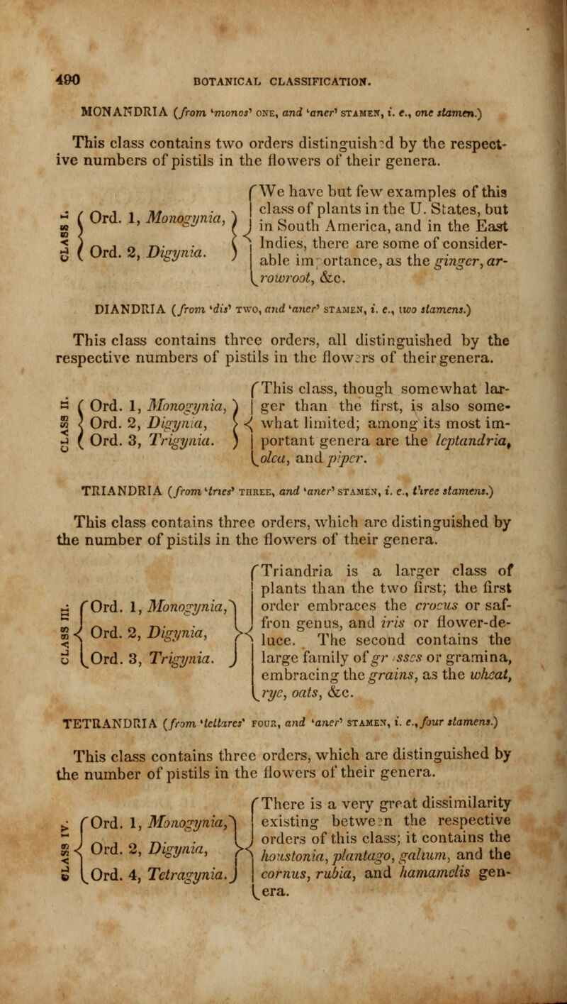MONANDRIA {from 'monos1 one, and '■aner'1 stamen, t. e., one stamen.) This class contains two orders distinguish :d by the respect- ive numbers of pistils in the flowers of their genera. f We have but few examples of this | class of plants in the U. States, but J in South America, and in the East i Indies, there are some of consider- I able importance, as the ginger,ar- 13 ( Ord. 1, Monogynia, to ) g ( Ord. 2, Digynia. romroot, &c. DIANDRIA {from lrfiV two, and k«7icr' stamen, i. e.% \wo stamens.) This class contains three orders, all distinguished by the respective numbers of pistils in the flowzrs of their genera. Ord. 1, Monogynia, Ord. 2, Digynia, Ord. 3, Trigynia. (This class, though somewhat lar- | ger than the first, is also some- <( what limited; among its most im- | portant genera are the leptandria^ \^olca, and piper. TRIANDRIA (from Hries* three, and '■aner'' stamen, i. c, three stamens.) This class contains three orders, which arc distinguished by the number of pistils in the flowers of their genera. fTriandria is a larger class of plants than the two first; the first order embraces the crocus or saf- , fron genus, and iris or flower-de- ^ luce. The second contains the large family of gr sses or gramina, embracing the grains, as the wheat, rye, oats, &c. 'Ord. 1, Monogynia,' Ord. 2, Digynia, Ord. 3, Trigynia. K. TETRANDRIA (from Hettarcs' four, and 'aner'' stamen, i. e.,four stamens.) This class contains three orders, which are distinguished by the number of pistils in the flowers of their genera. (There is a very great dissimilarity existing betwern the respective J orders of this class; it contains the | honstonia, plantago, gahum, and the cornus, rubia, and hamamclis gen- ^era. ►; f Ord. 1, Monogyni £ < Ord. 2, Digynia, £ [Ord. 4, Tctra gynia,
