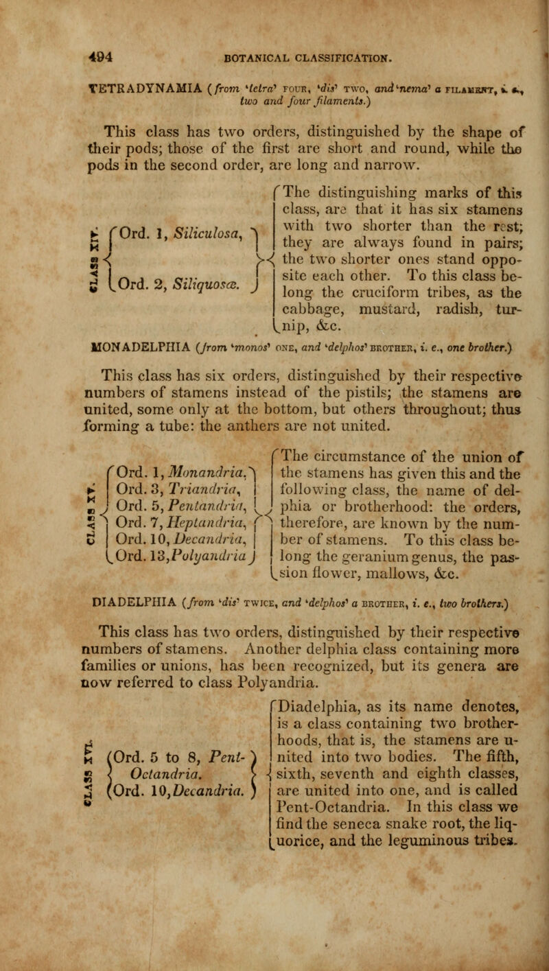 TETR ADYNAMIA {from Hetra? four, 'cha1 two, and'-nema? a FiLAMSirr, i. *>, two and four filaments.) This class has two orders, distinguished by the shape of their pods; those of the first are short and round, while the pods in the second order, are long and narrow. Ord. 1, Siliculosa, 2 [Ord. 2, SiliquoscB. J rThe distinguishing marks of this class, are that it has six stamens ^ with two shorter than the rest; they are always found in pairs; hthe two shorter ones stand oppo- site each other. To this class be- long the cruciform tribes, as the cabbage, mustard, radish, tur- ^nip, &c. MONADELPHIA {jrom Kmonos) one, and kdelphos^ brother, i. e., one brother.) This class has six orders, distinguished by their respective- numbers of stamens instead of the pistils; the stamens are united, some only at the bottom, but others throughout; thus forming a tube: the anthers are not united. rord. Ord. Ord. Ord. Ord. t^Ord. 1, Monandria.'} 3, Triandria^ 5, Pentandrin, rThe circumstance of the union of the stamens has given this and the following class, the name of del- phia or brotherhood: the orders, 7,Heplandria, f * therefore, are known by the num- 10, Decandria, 13 ,Polyaudiiaj ber of stamens. To this class be- long the geranium genus, the pas- lesion flower, mallows, &c. DIADELPHIA (from *&& twice, and delphos^ a brother, t. «., two brothers.) This class has two orders, distinguished by their respective numbers of stamens. Another delphia class containing more families or unions, has been recognized, but its genera are now referred to class Polyandria. Diadelphia, as its name denotes, is a class containing two brother- hoods, that is, the stamens are u- nited into two bodies. The fifth, sixth, seventh and eighth classes, are united into one, and is called Pent-Octandria. In this class we find the seneca snake root, the liq- ^uorice, and the leguminous tribes. m ;Ord. 5 to 8, Pent- Octandria. Ord. 10}Decandria.